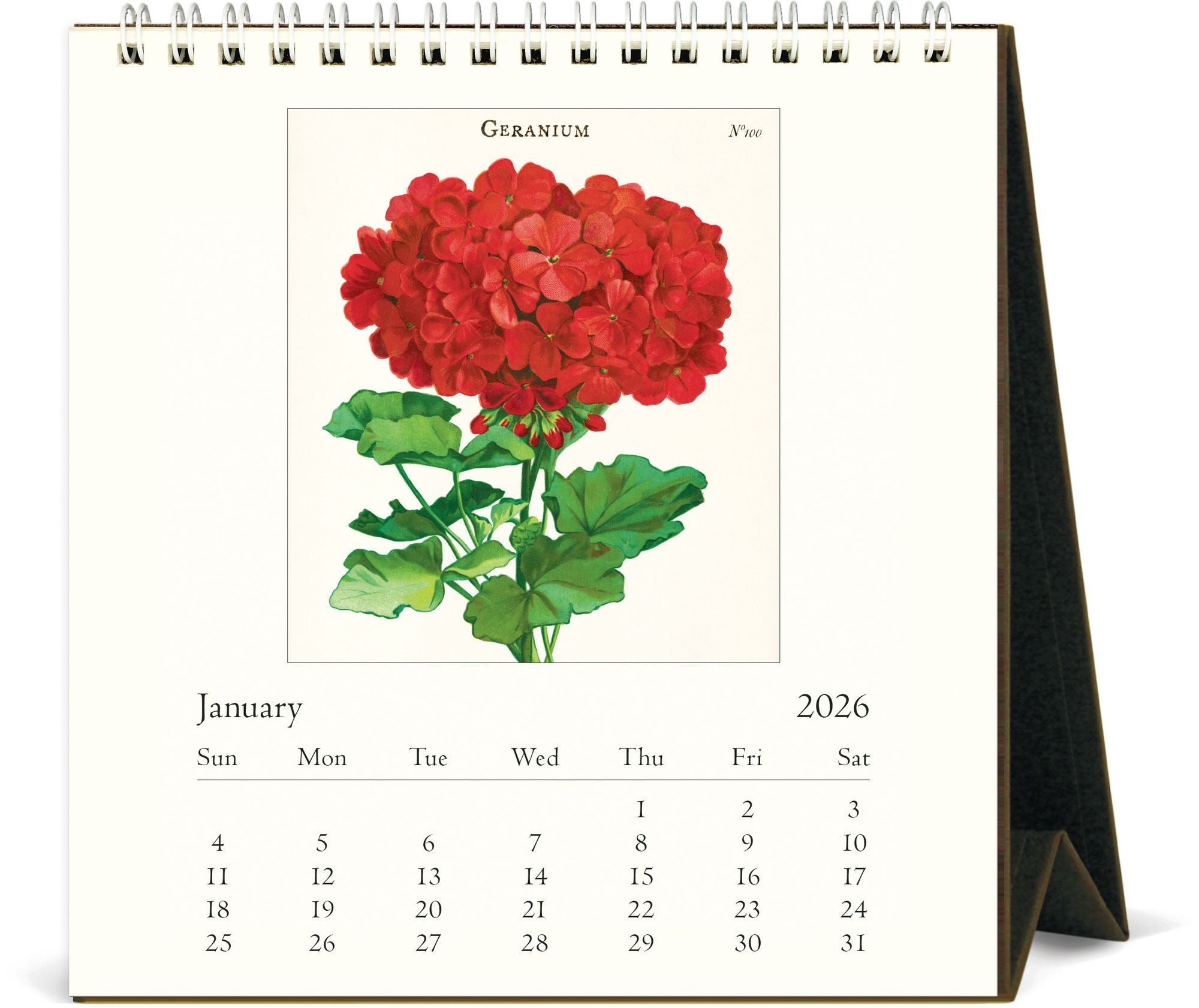 2026 Cavallini Botanica Desk Calendar