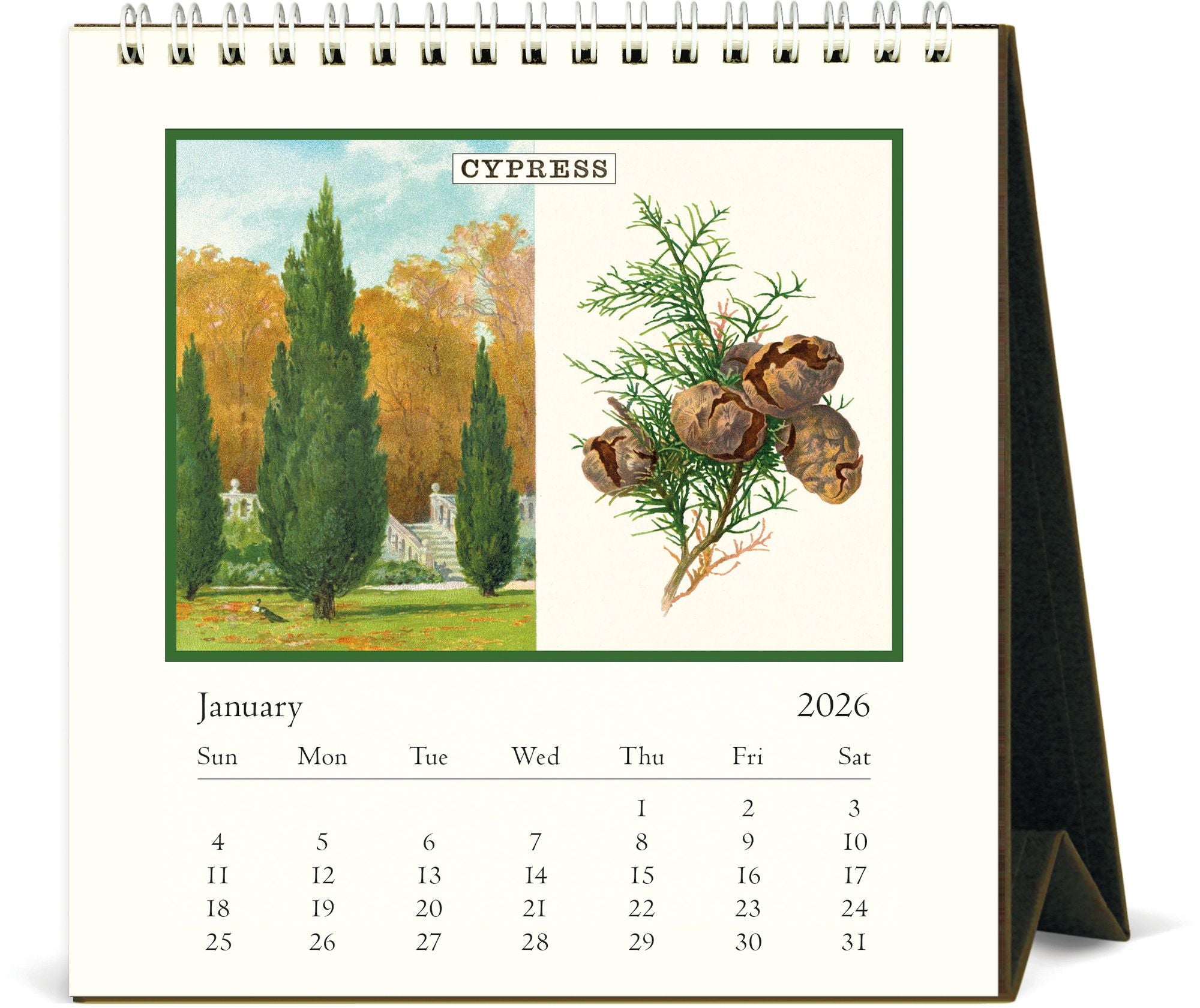 2026 Cavallini Arboretum Desk Calendar