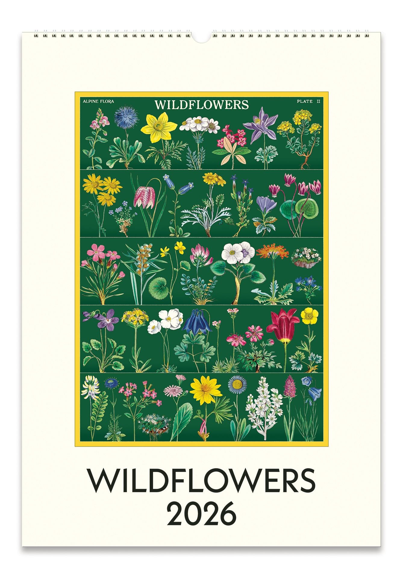 2026 Cavallini Wildflowers Wall Calendar