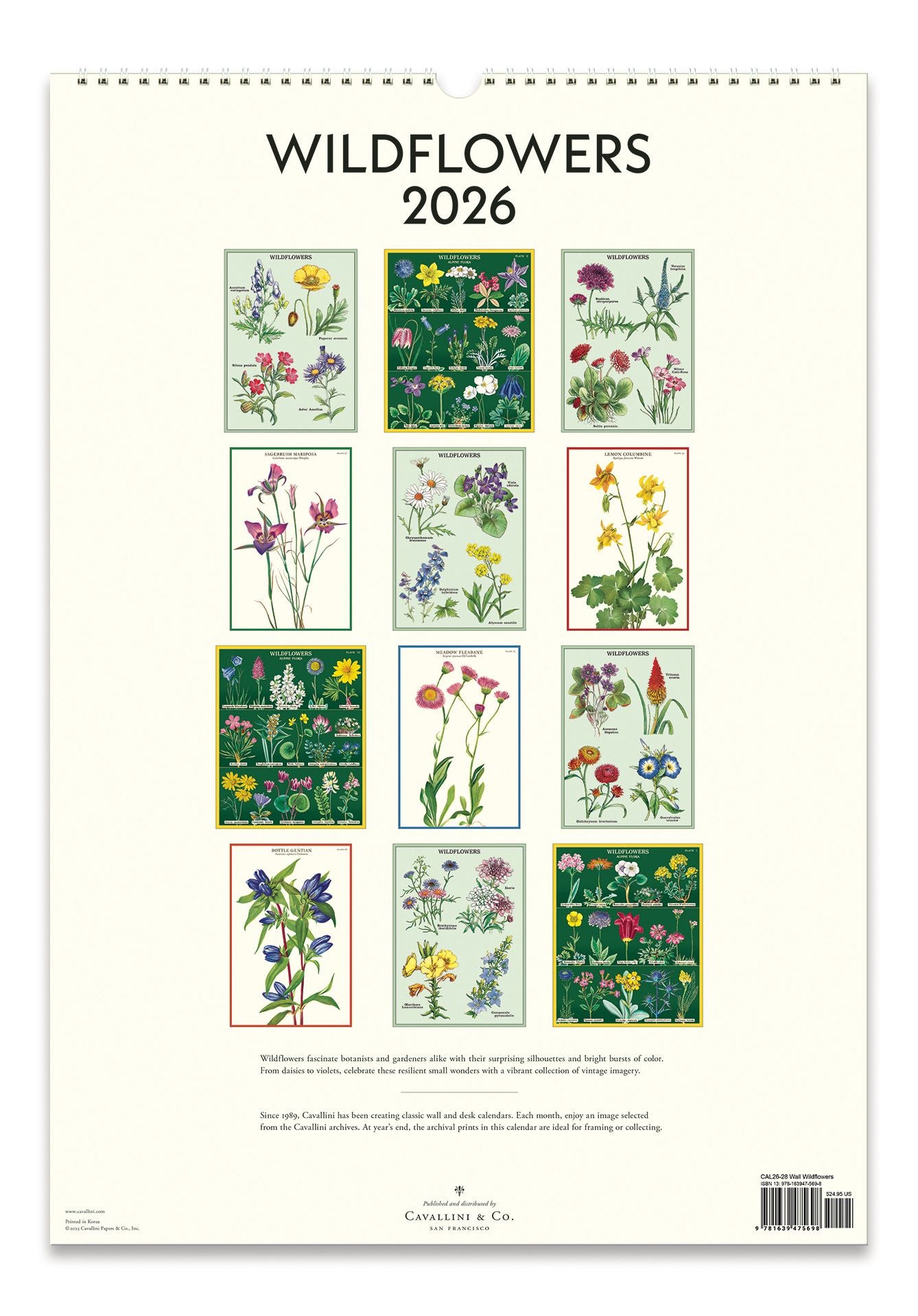 2026 Cavallini Wildflowers Wall Calendar