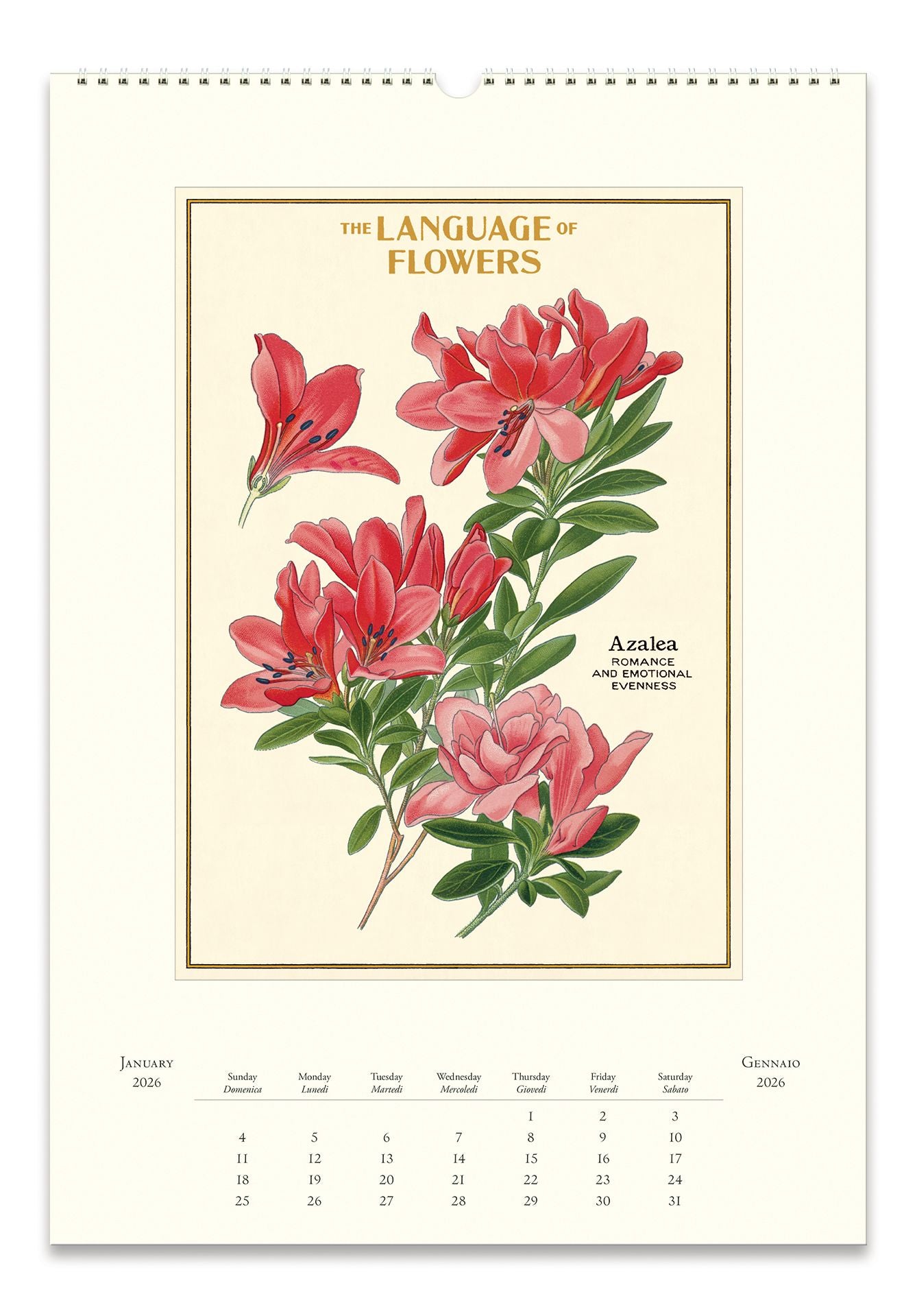 2026 Language of Flowers Wall Calendar