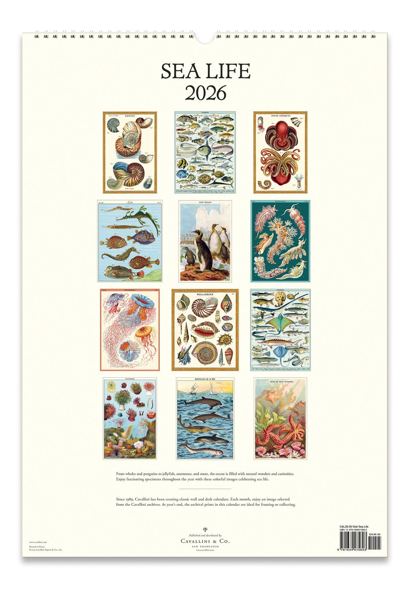 2026 Cavallini Sea Life Wall Calendar