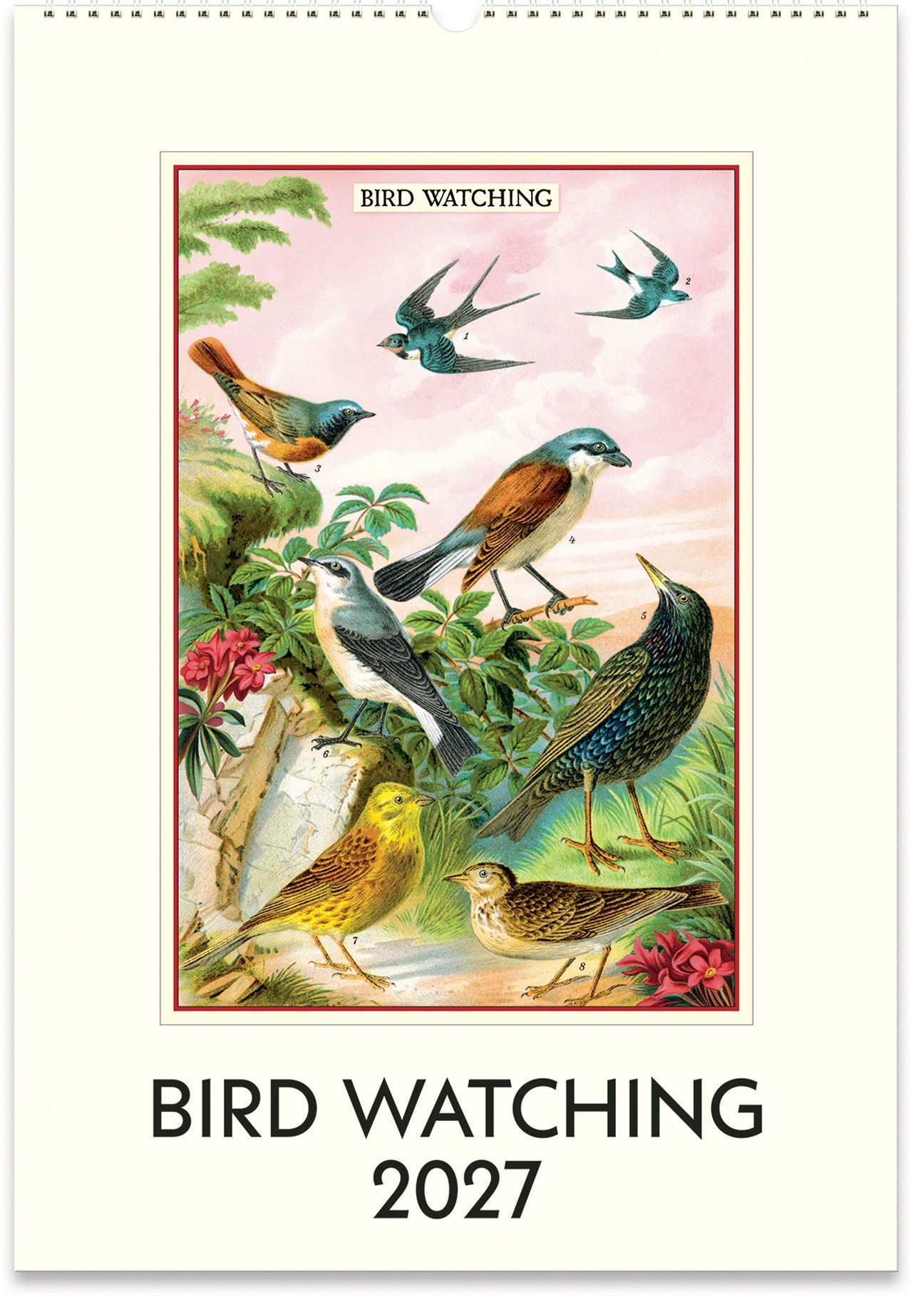 2027 Bird Watching Wall Calendar