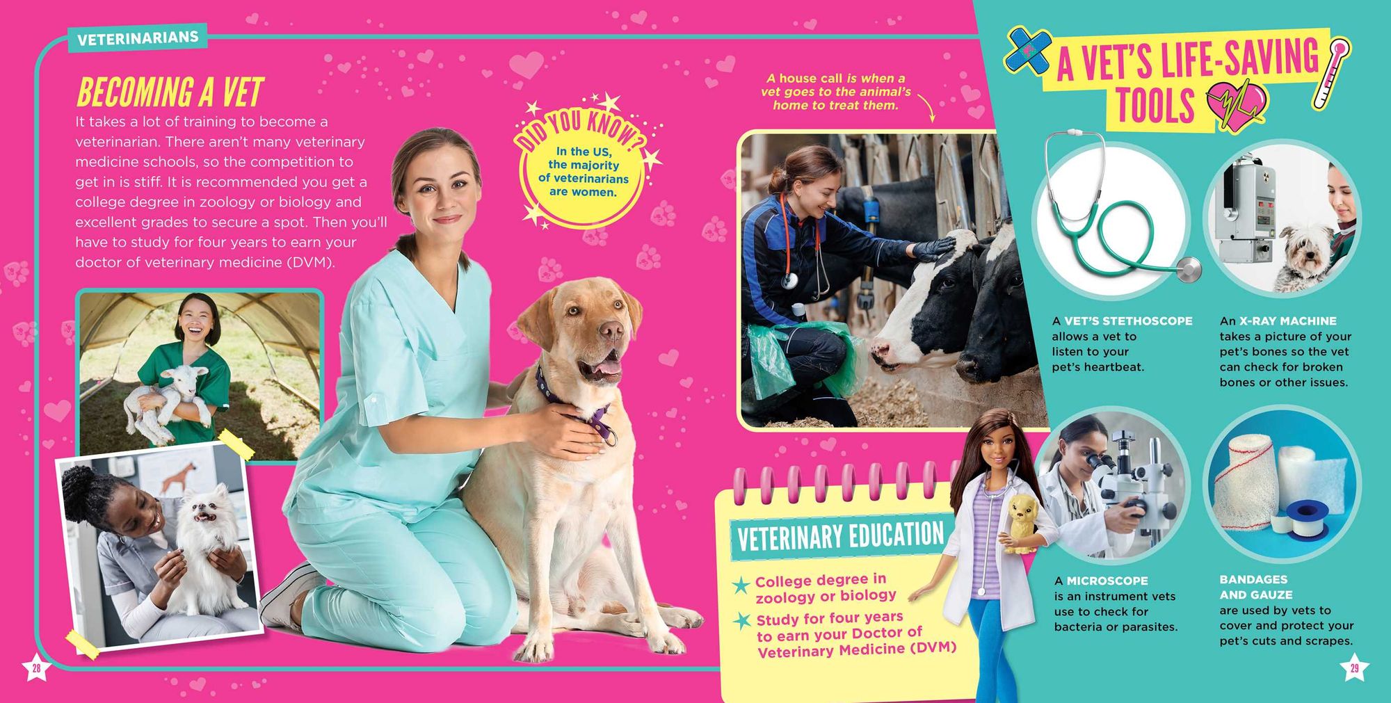 Barbie: Dream Careers: 20 Real Jobs to Explore