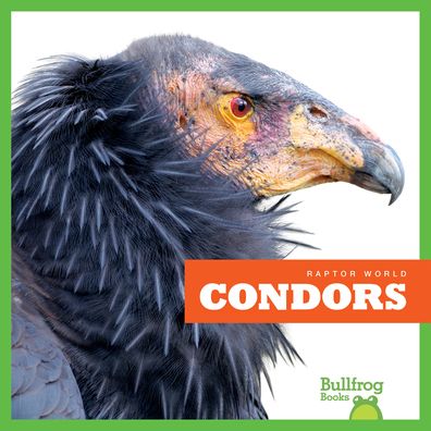 Condors
