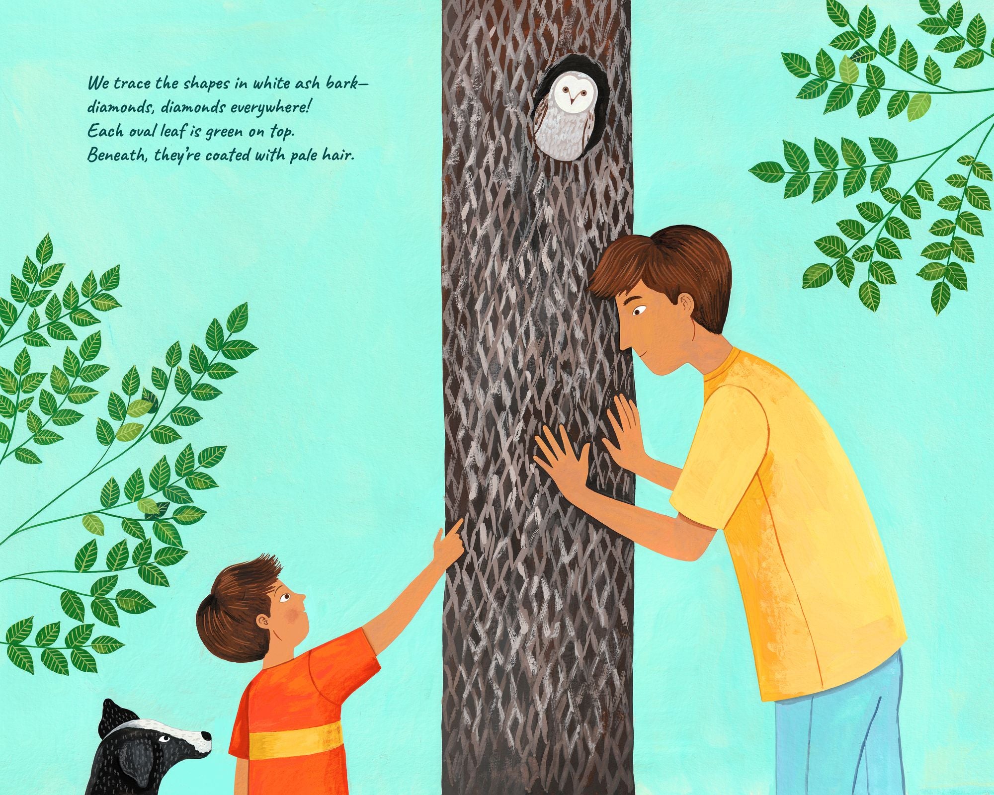 A Tree for Me: A Picture Book