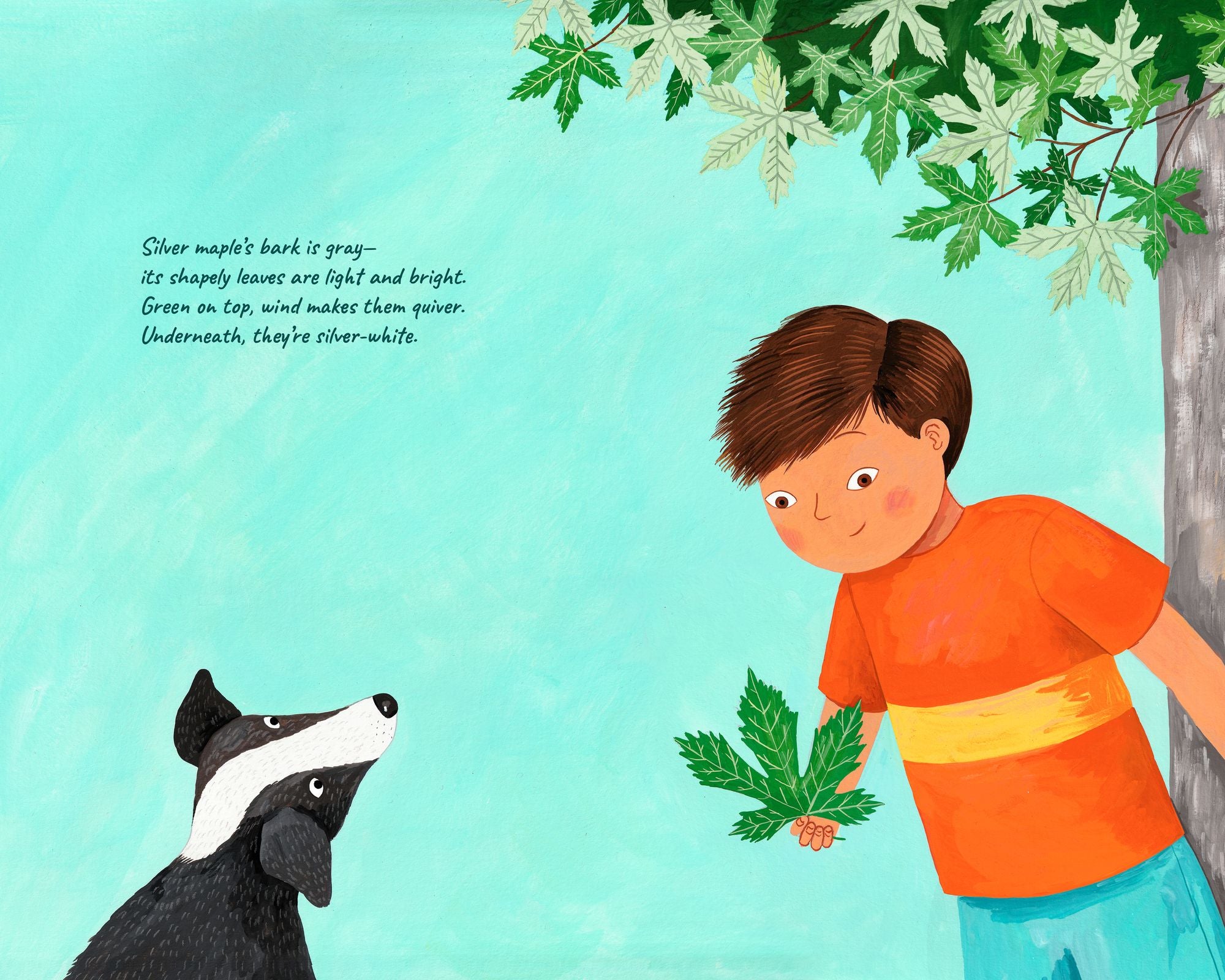 A Tree for Me: A Picture Book