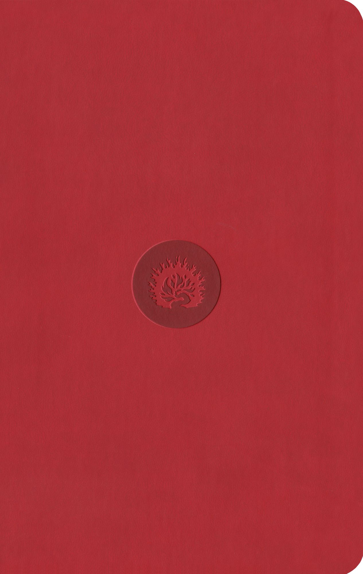 ESV Reformation Study Bible, Student Edition - Red, Leather-Like