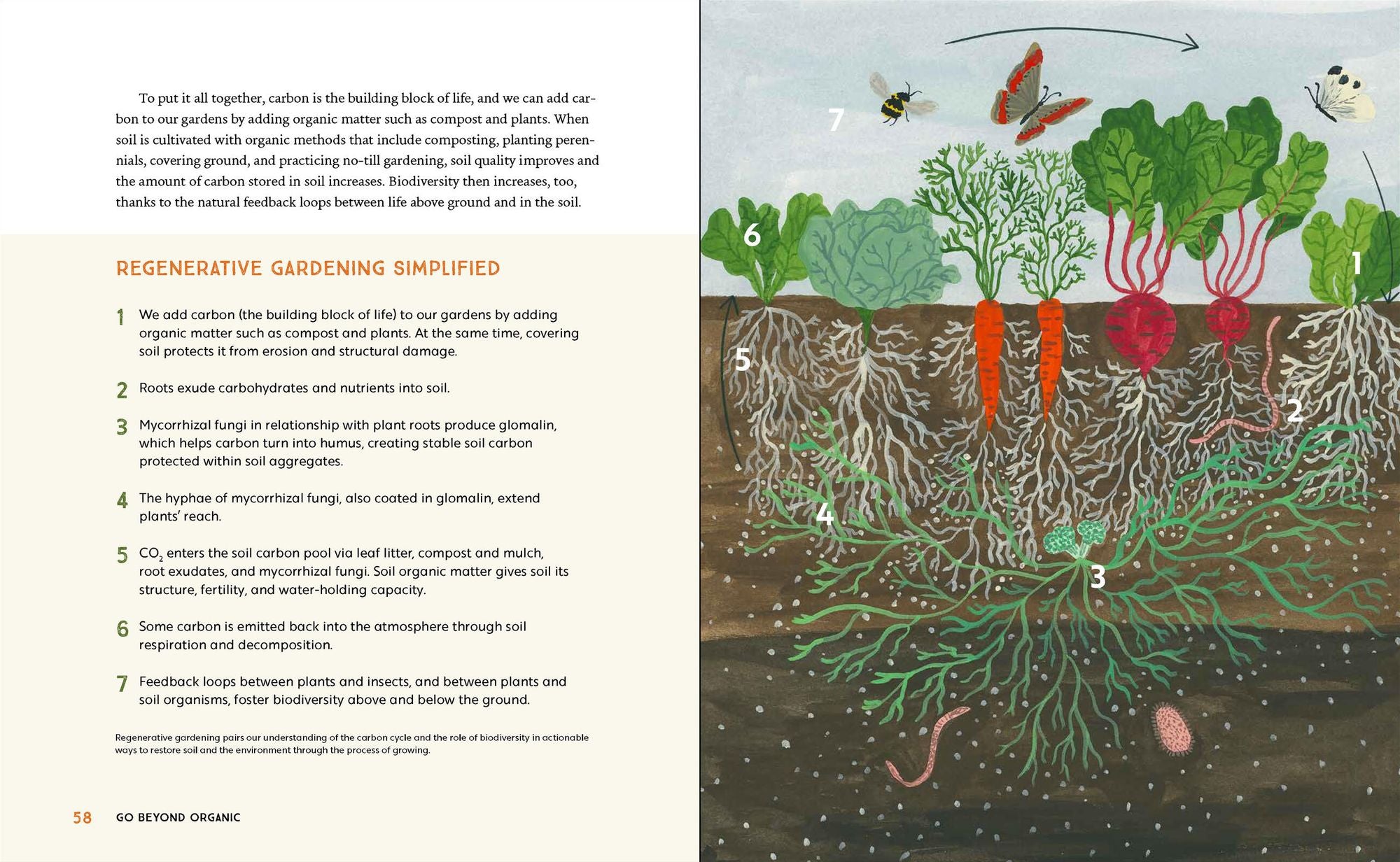 Grow Now: How We Can Save Our Health, Communities, and Planet-One Garden at a Time