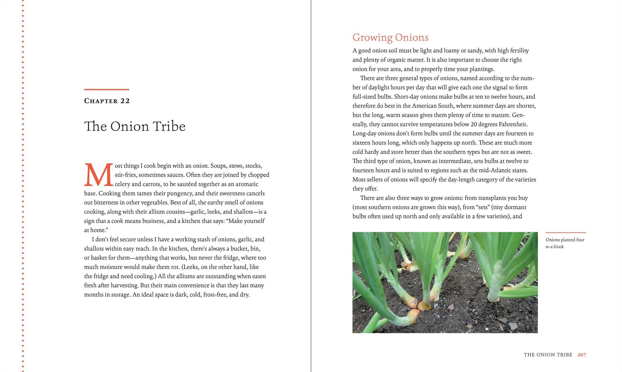 A Life in the Garden: Tales and Tips for Growing Food in Every Season