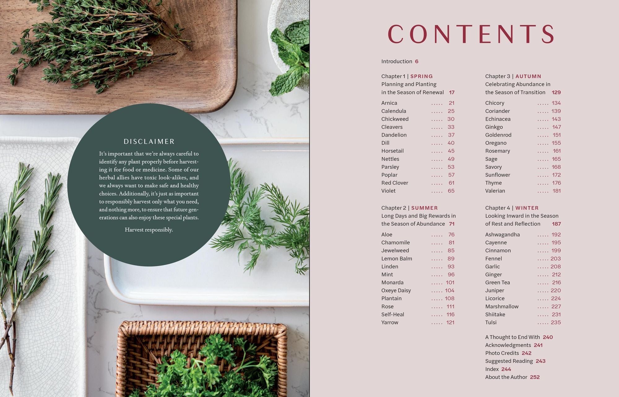 Herbs in Every Season: 48 Edible and Medicinal Herbs for the Kitchen, Garden, and Apothecary