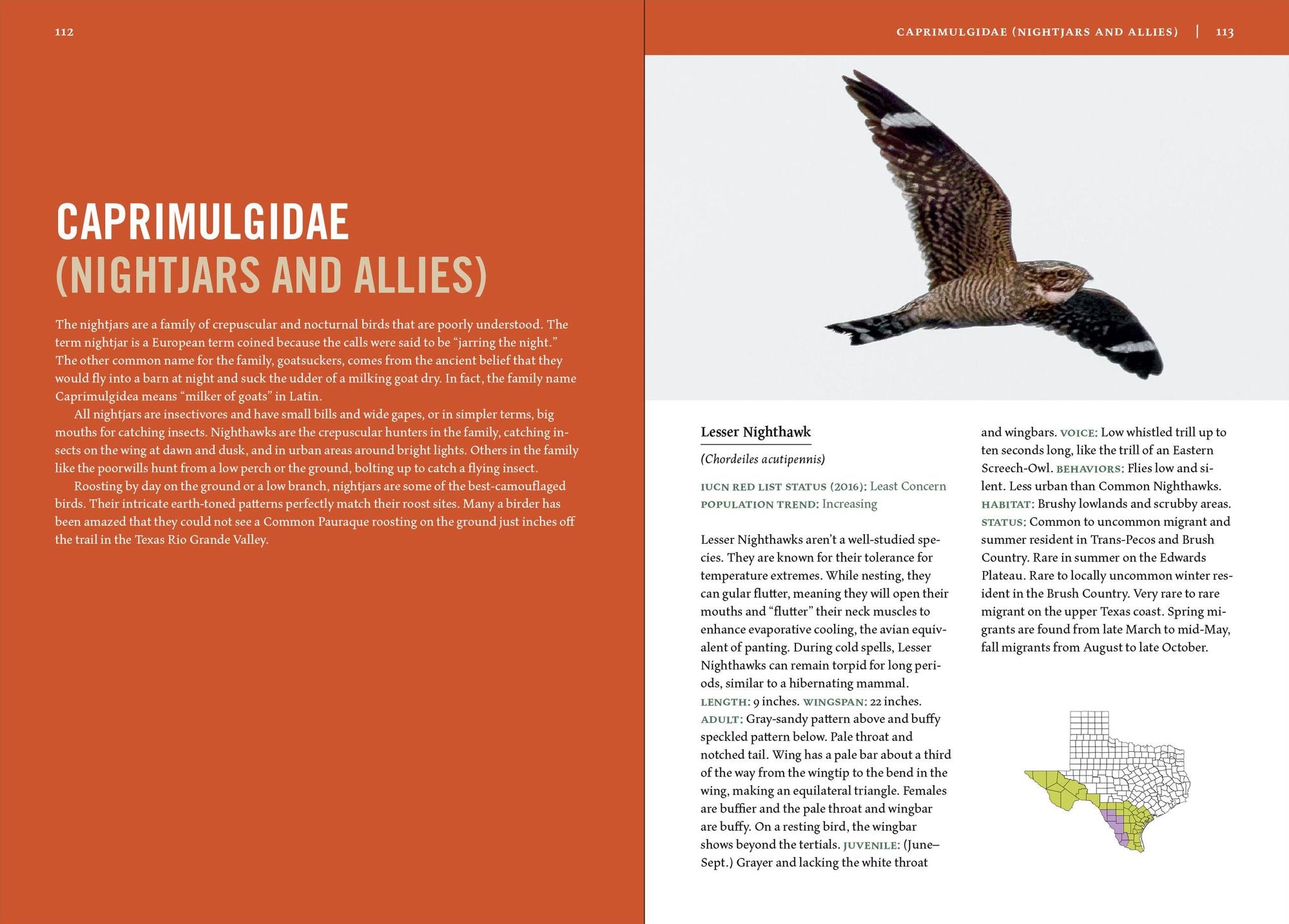 Birds of Texas: A Timber Press Field Guide