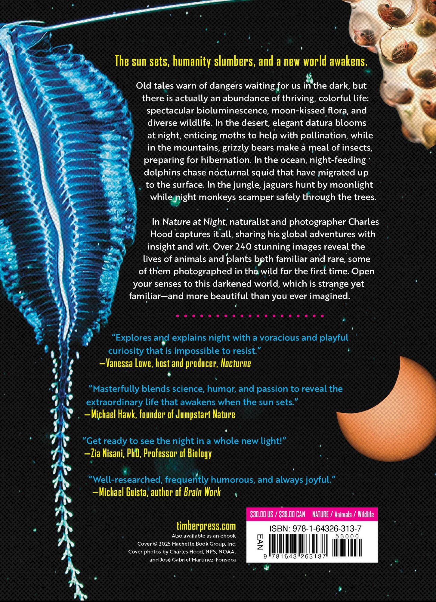 Nature at Night: Discover the Hidden World That Comes Alive after Dark