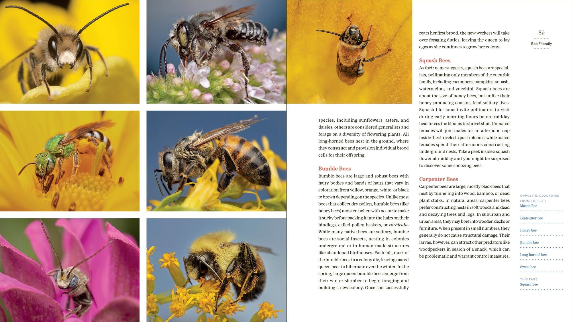 Grass Isn't Greener: The Everyday Conservationist's Guide to Bringing Nature to Your Yard