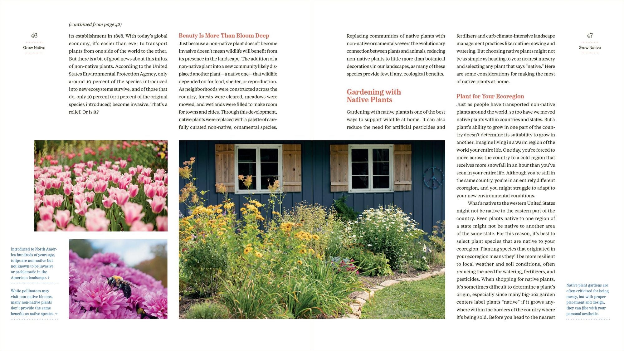 Grass Isn't Greener: The Everyday Conservationist's Guide to Bringing Nature to Your Yard