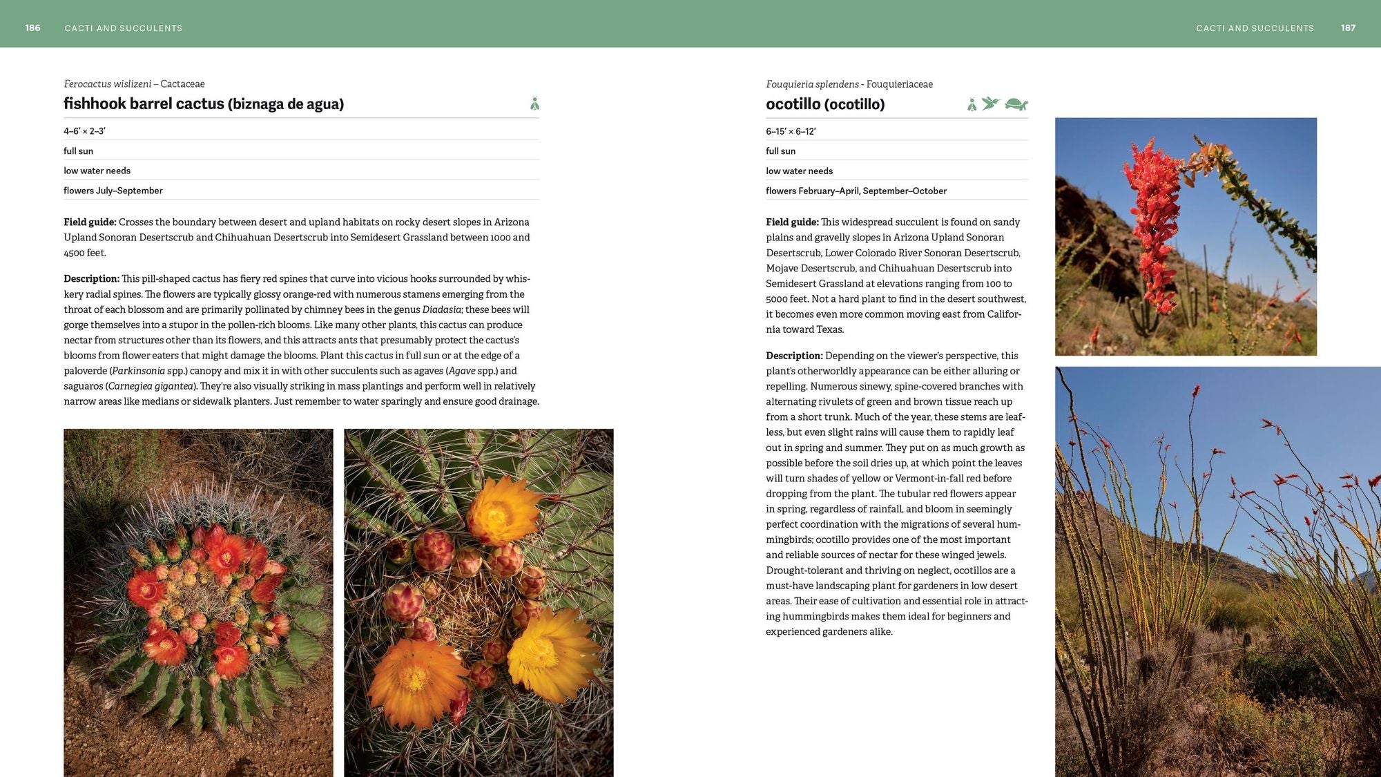 The Southwest Native Plant Primer: 235 Plants for an Earth-Friendly Garden