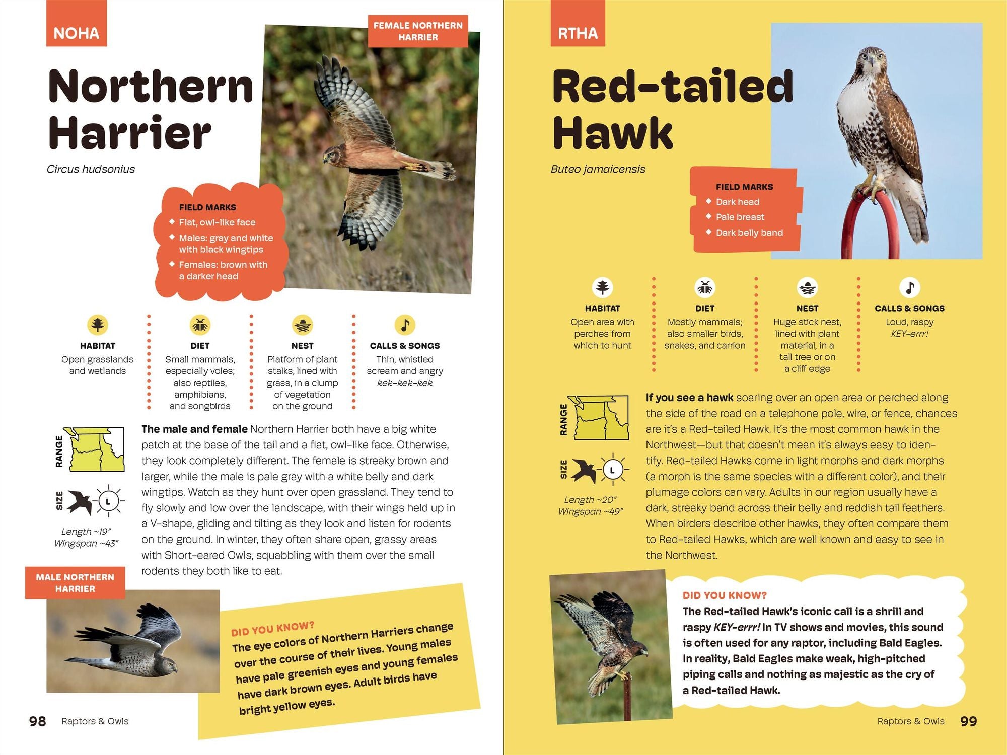 Birds of the Pacific Northwest For Kids