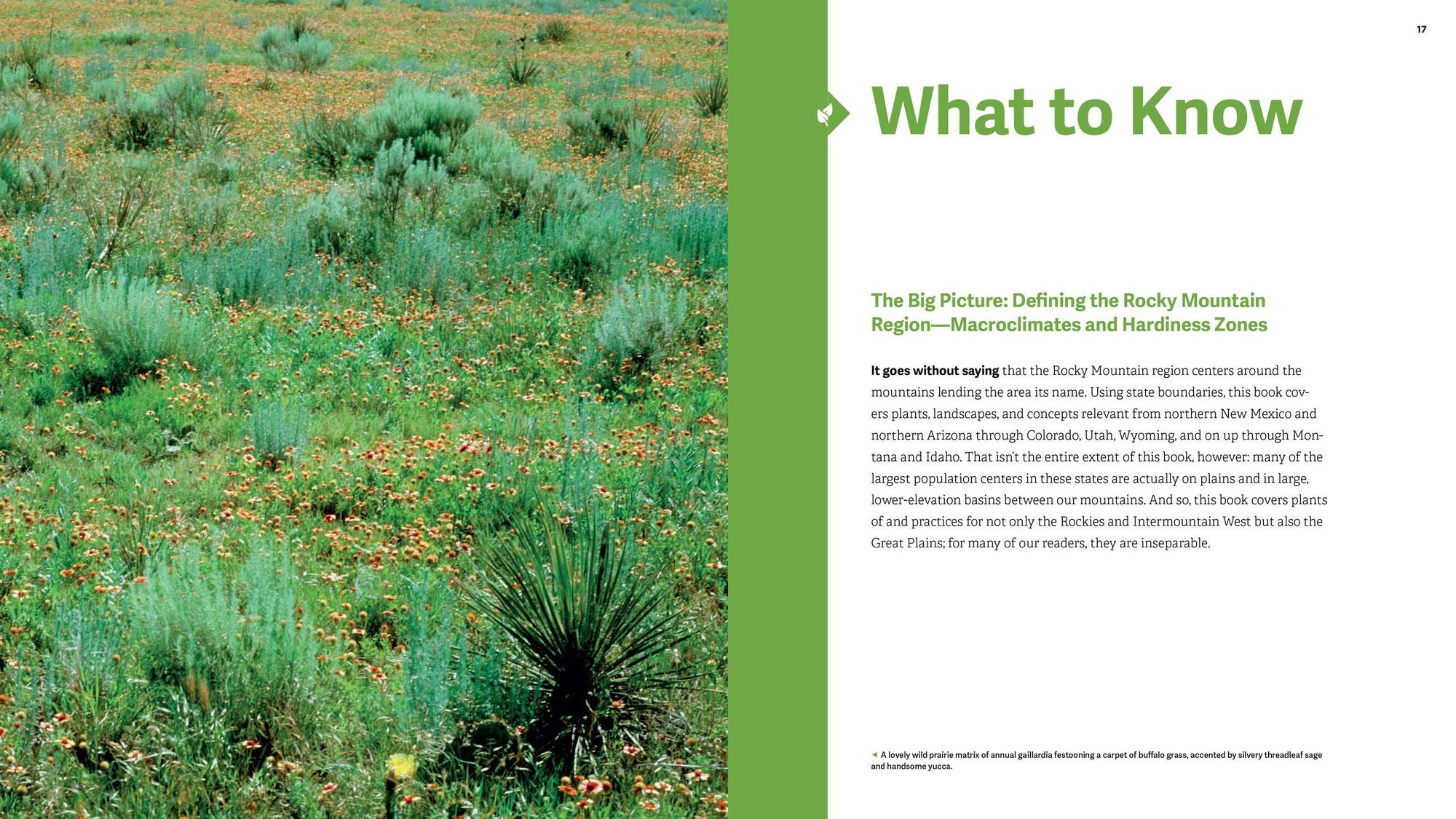 The Rocky Mountain Native Plant Primer: 225 Plants for an Earth-Friendly Garden