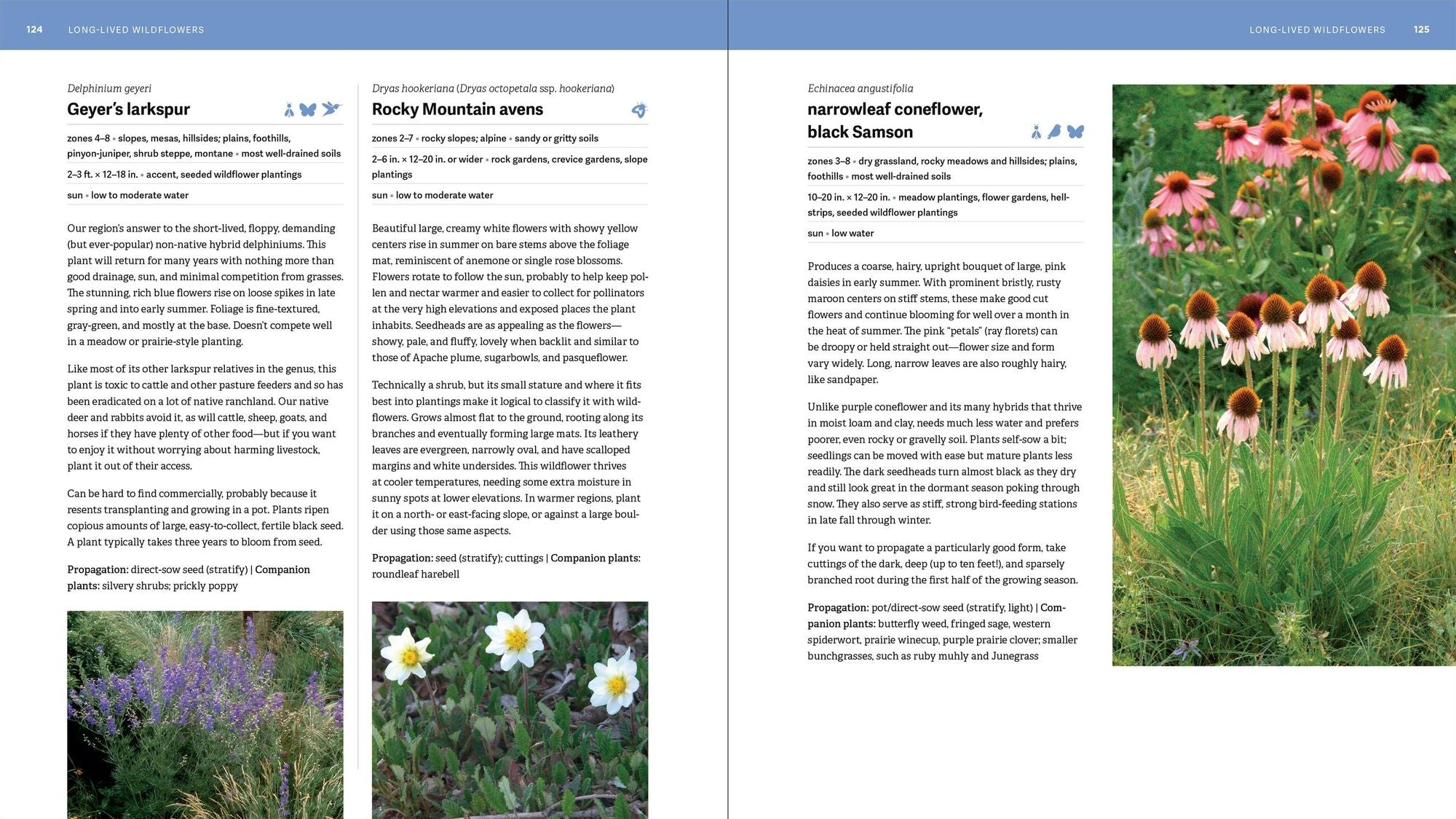The Rocky Mountain Native Plant Primer: 225 Plants for an Earth-Friendly Garden