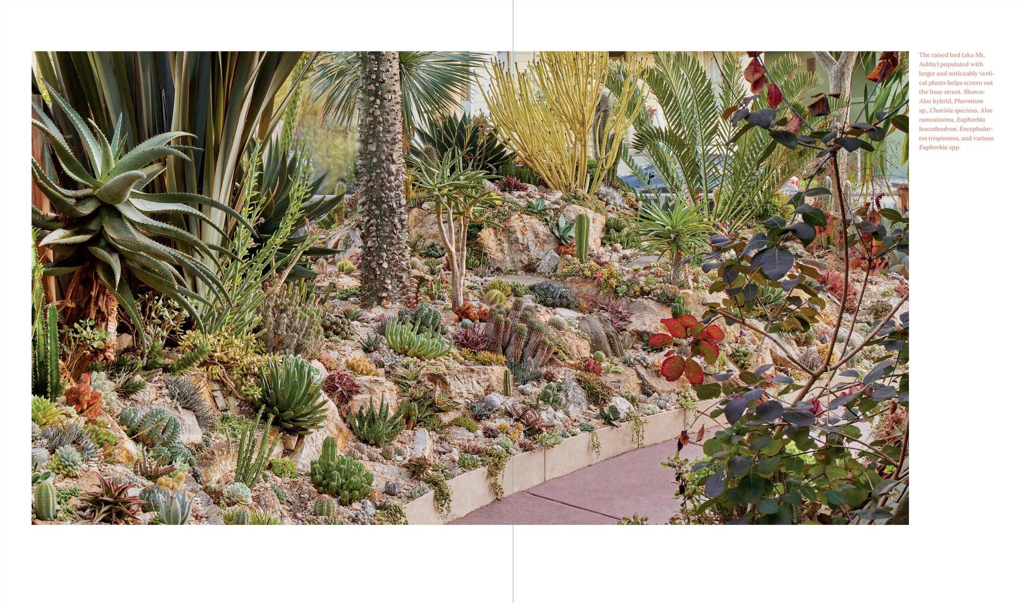 Designing the Lush Dry Garden: Create a Climate-Resilient, Low-Water Paradise