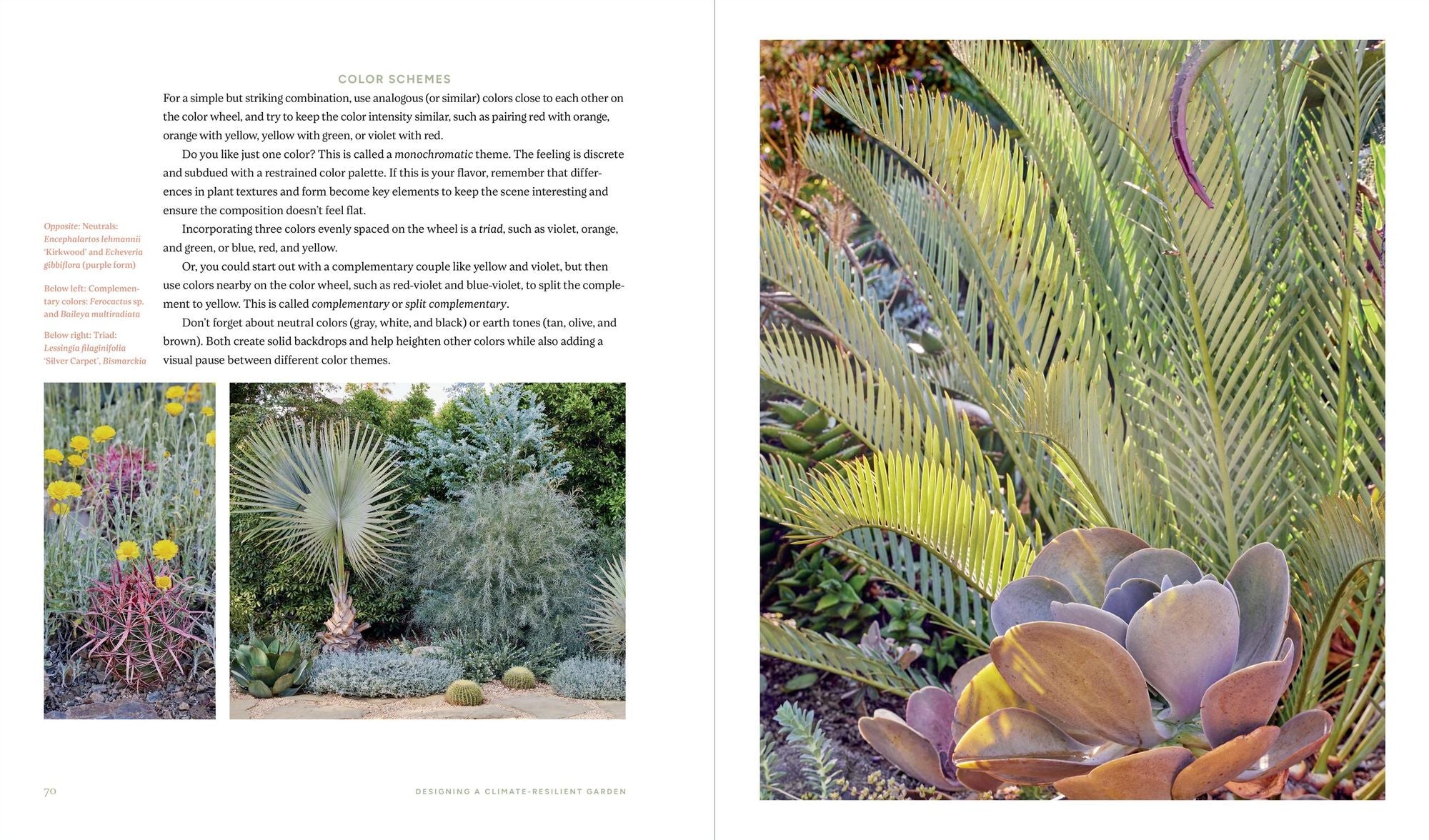 Designing the Lush Dry Garden: Create a Climate-Resilient, Low-Water Paradise