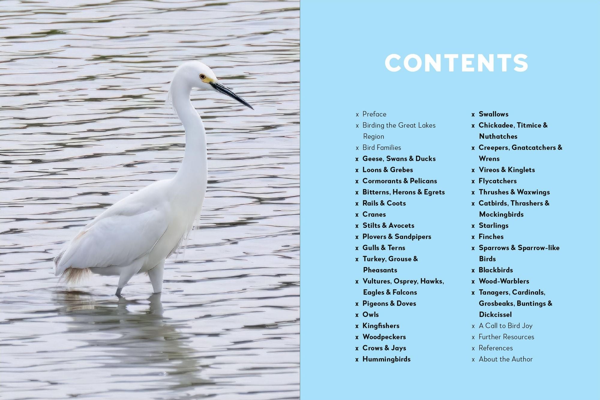 Birds of the Great Lakes