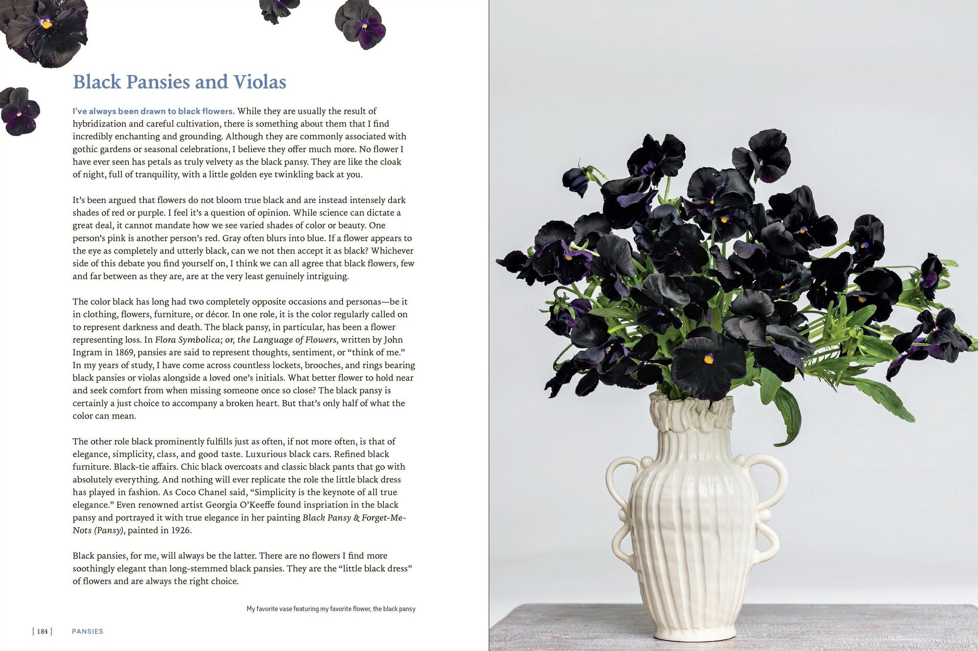 Pansies: How to Grow, Reimagine, and Create Beauty with Pansies and Violas