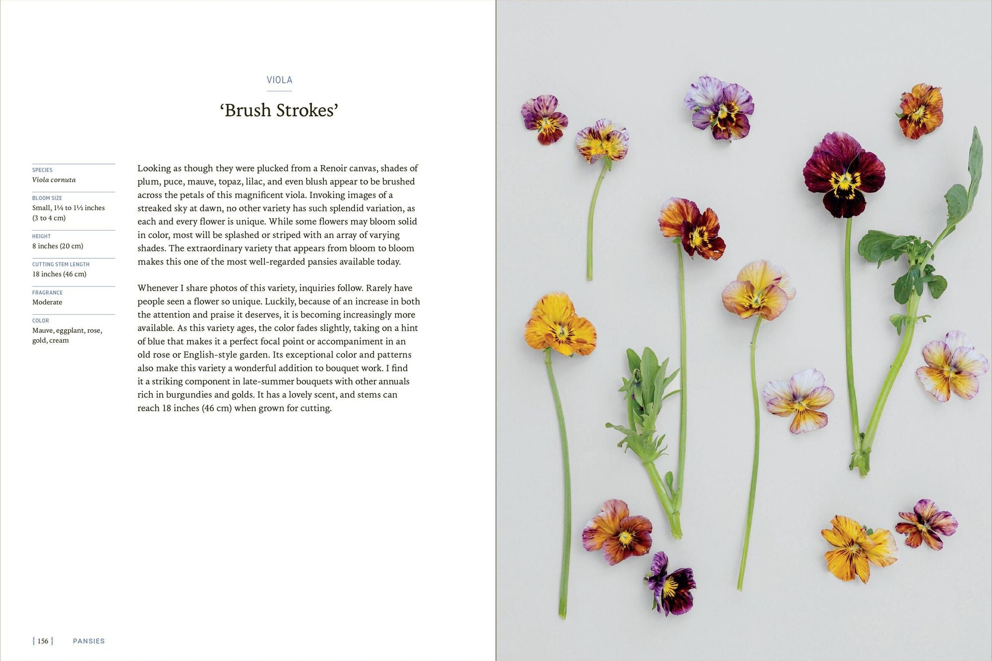 Pansies: How to Grow, Reimagine, and Create Beauty with Pansies and Violas