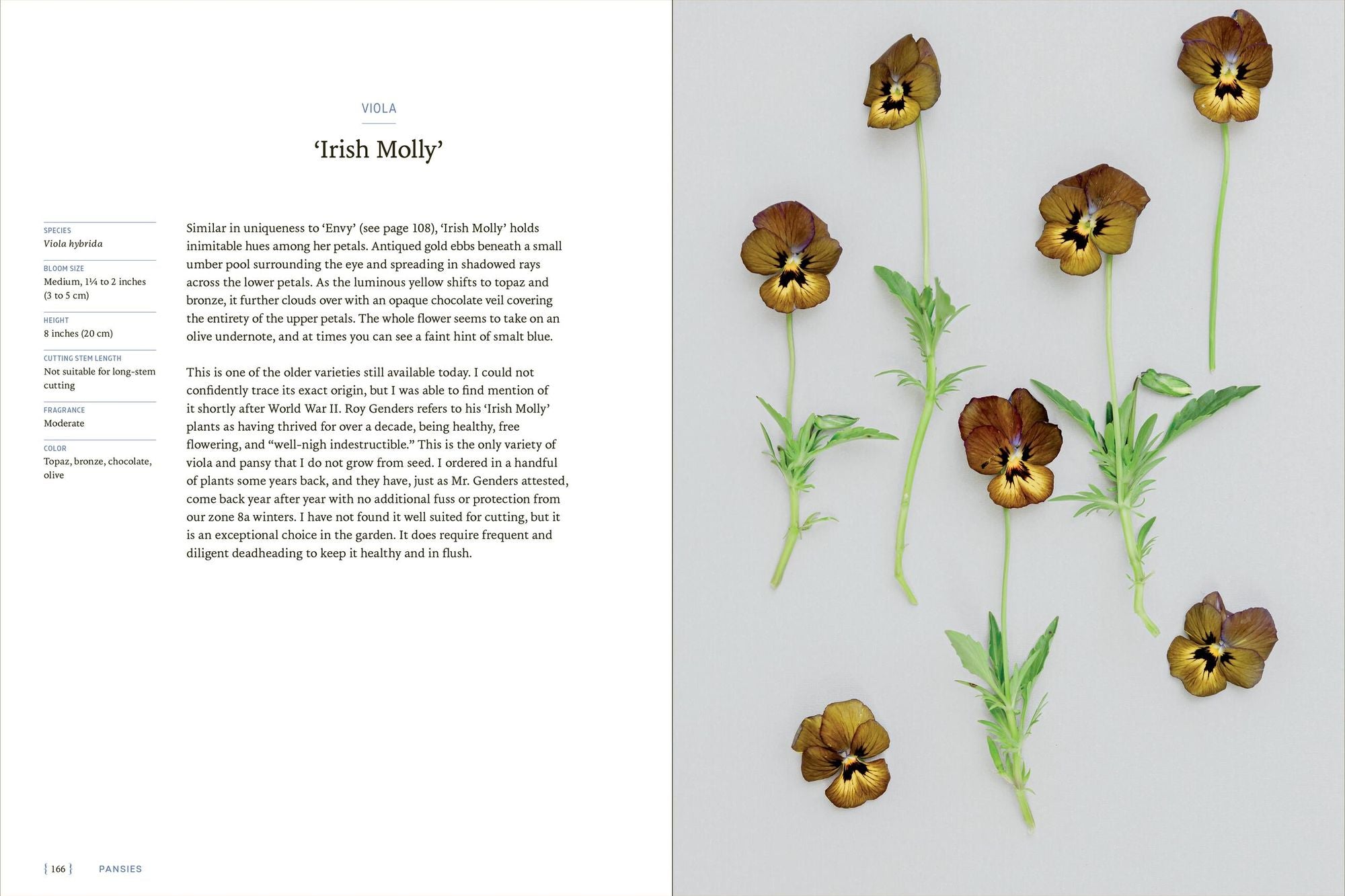 Pansies: How to Grow, Reimagine, and Create Beauty with Pansies and Violas