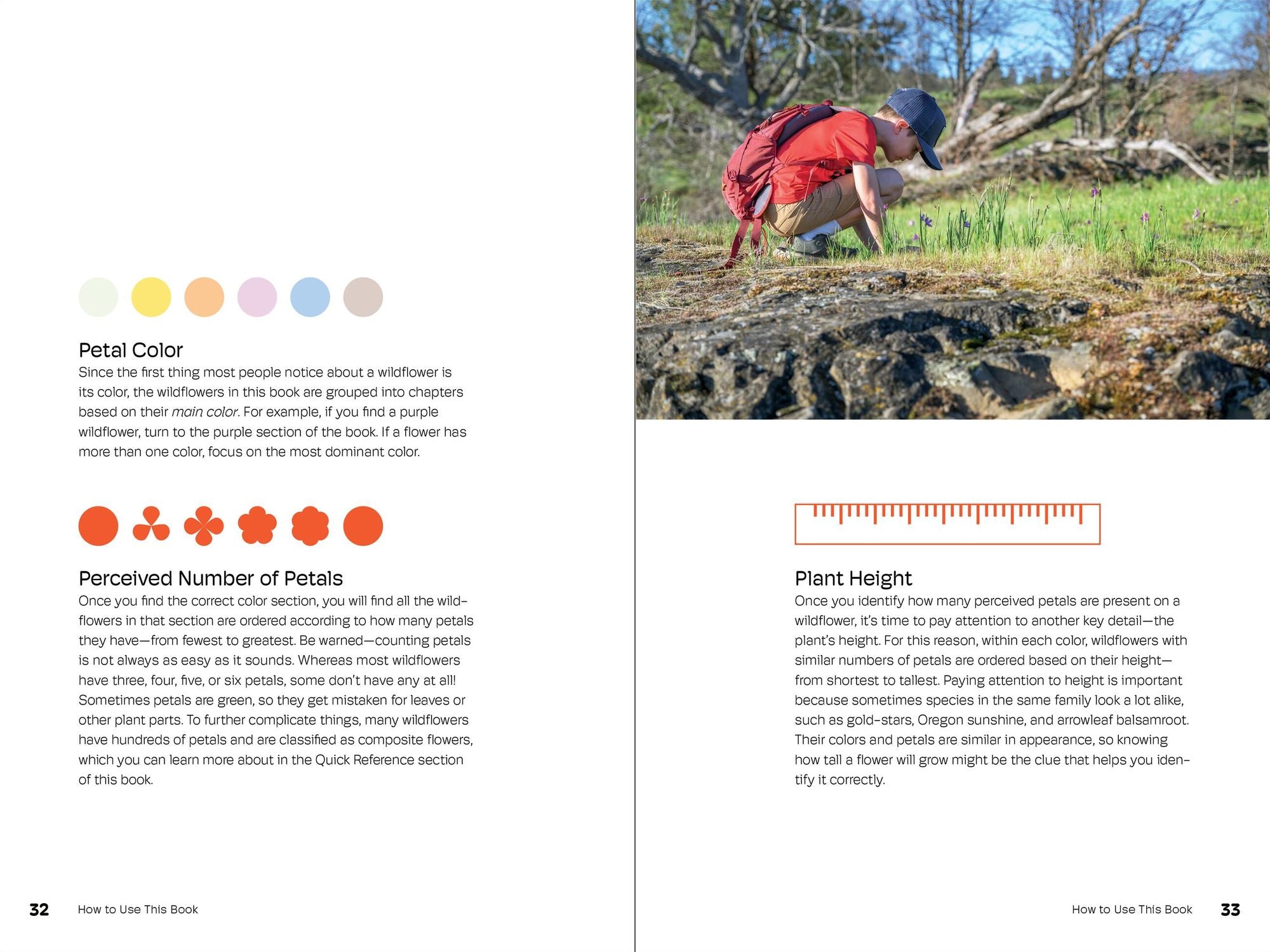 Wildflowers of the Pacific Northwest For Kids