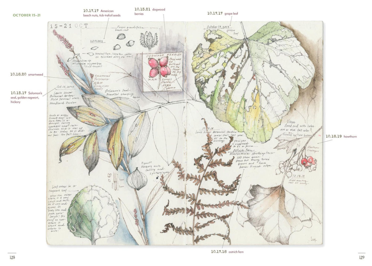 A Perpetual Journal Practice: Building a Connection with Nature through Art