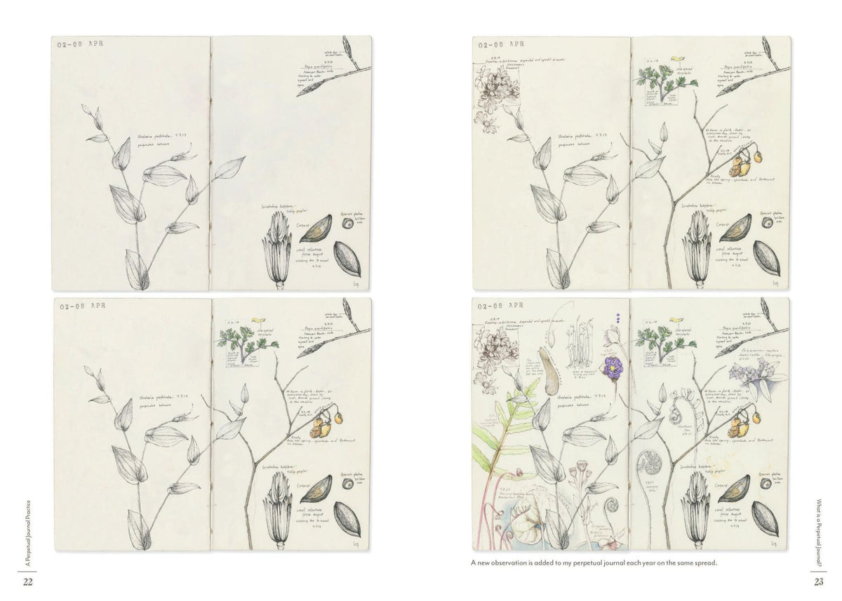 A Perpetual Journal Practice: Building a Connection with Nature through Art