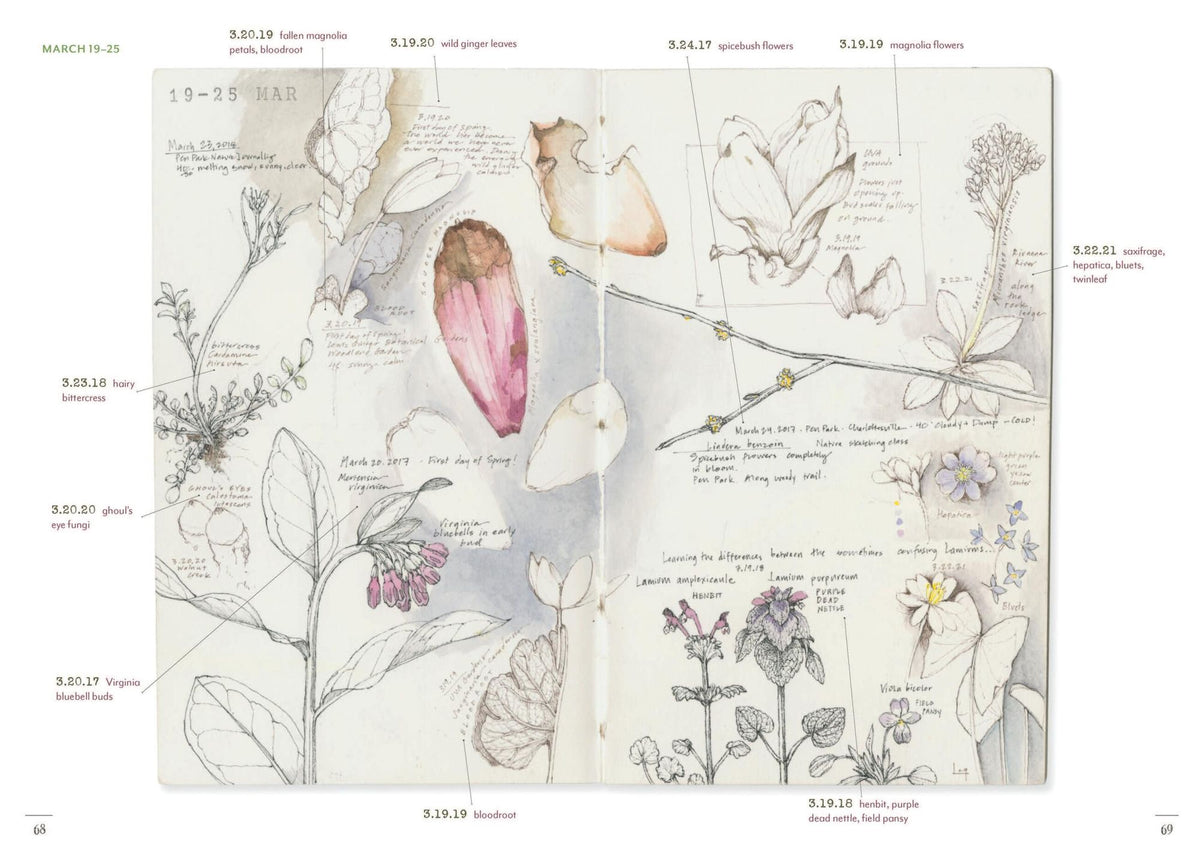 A Perpetual Journal Practice: Building a Connection with Nature through Art