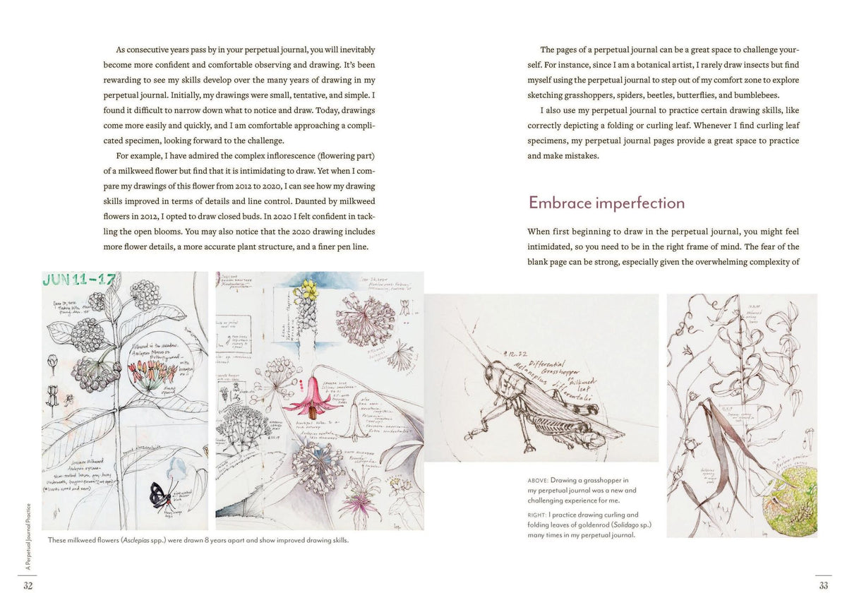 A Perpetual Journal Practice: Building a Connection with Nature through Art