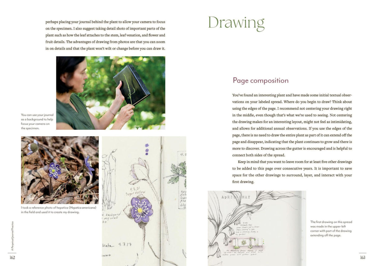 A Perpetual Journal Practice: Building a Connection with Nature through Art