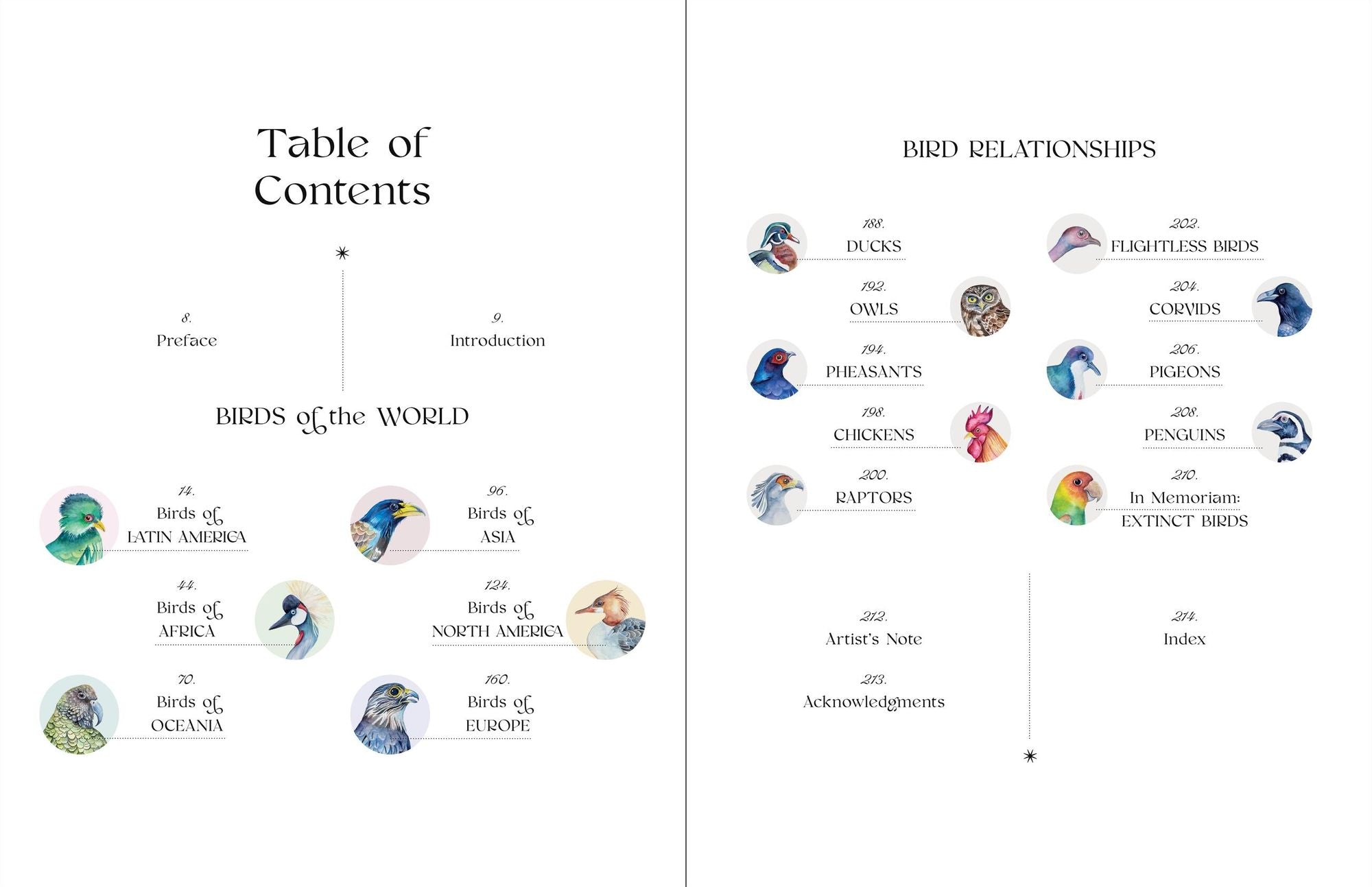 The Illuminated Book of Birds