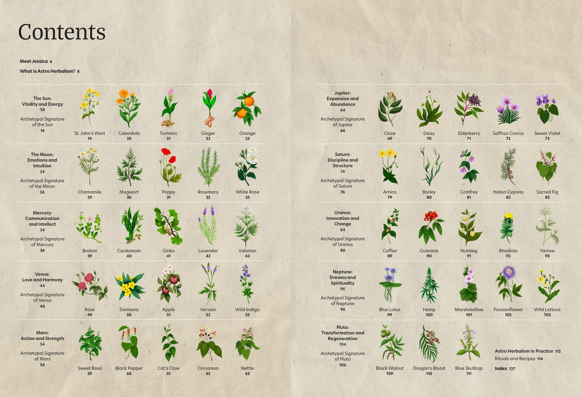 Astro Herbalism: Holistic Wellness and Self-Discovery through Herbalism and Astrology