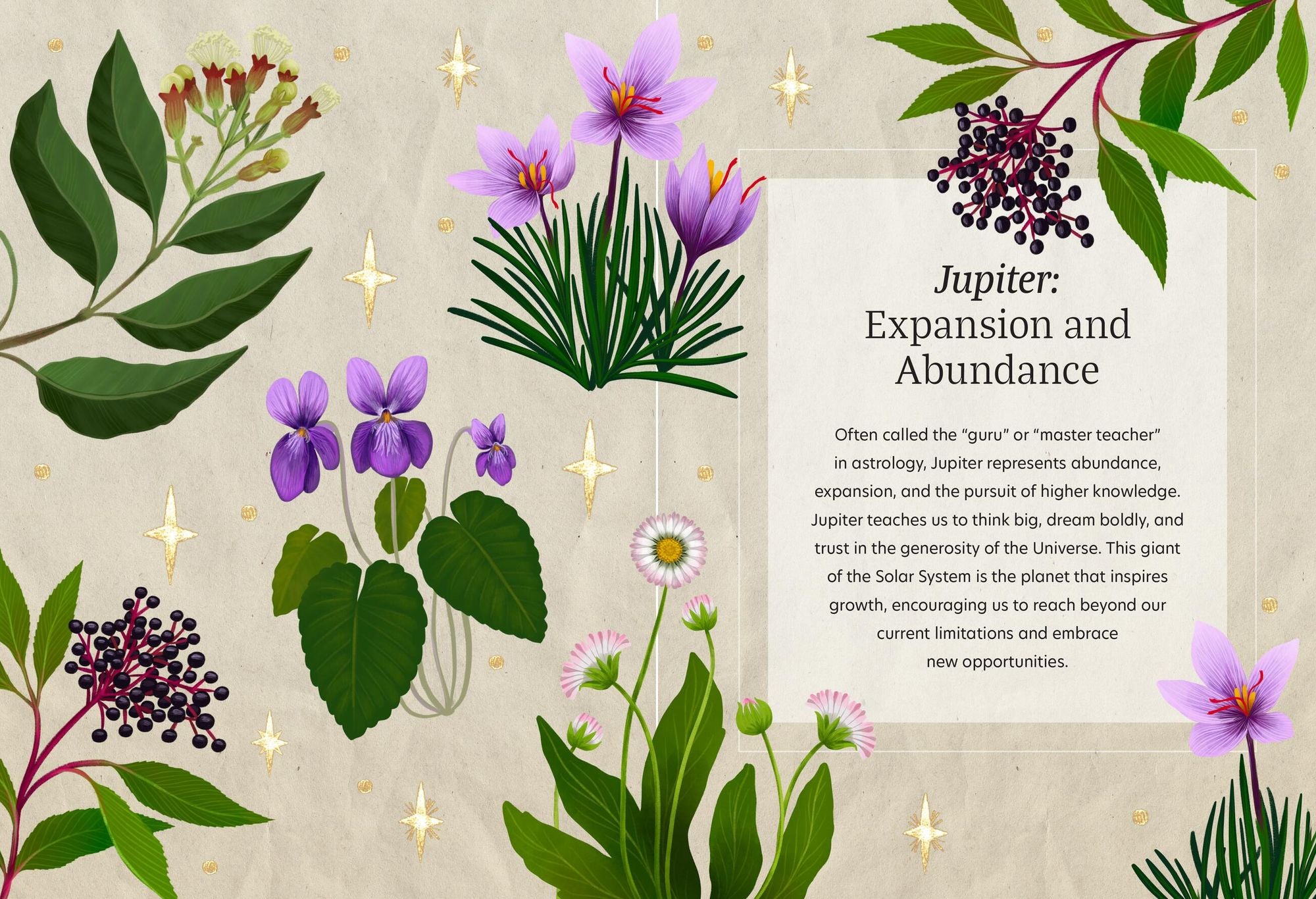 Astro Herbalism: Holistic Wellness and Self-Discovery through Herbalism and Astrology