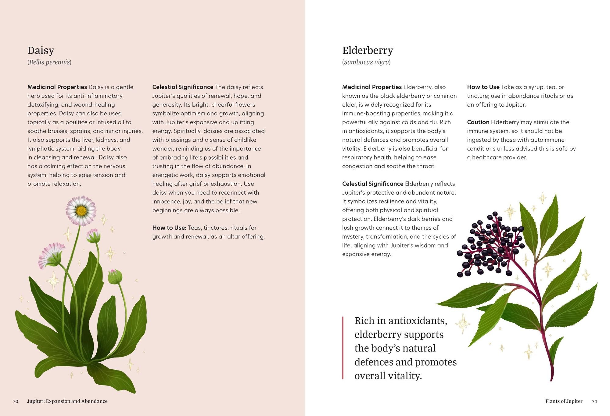 Astro Herbalism: Holistic Wellness and Self-Discovery through Herbalism and Astrology
