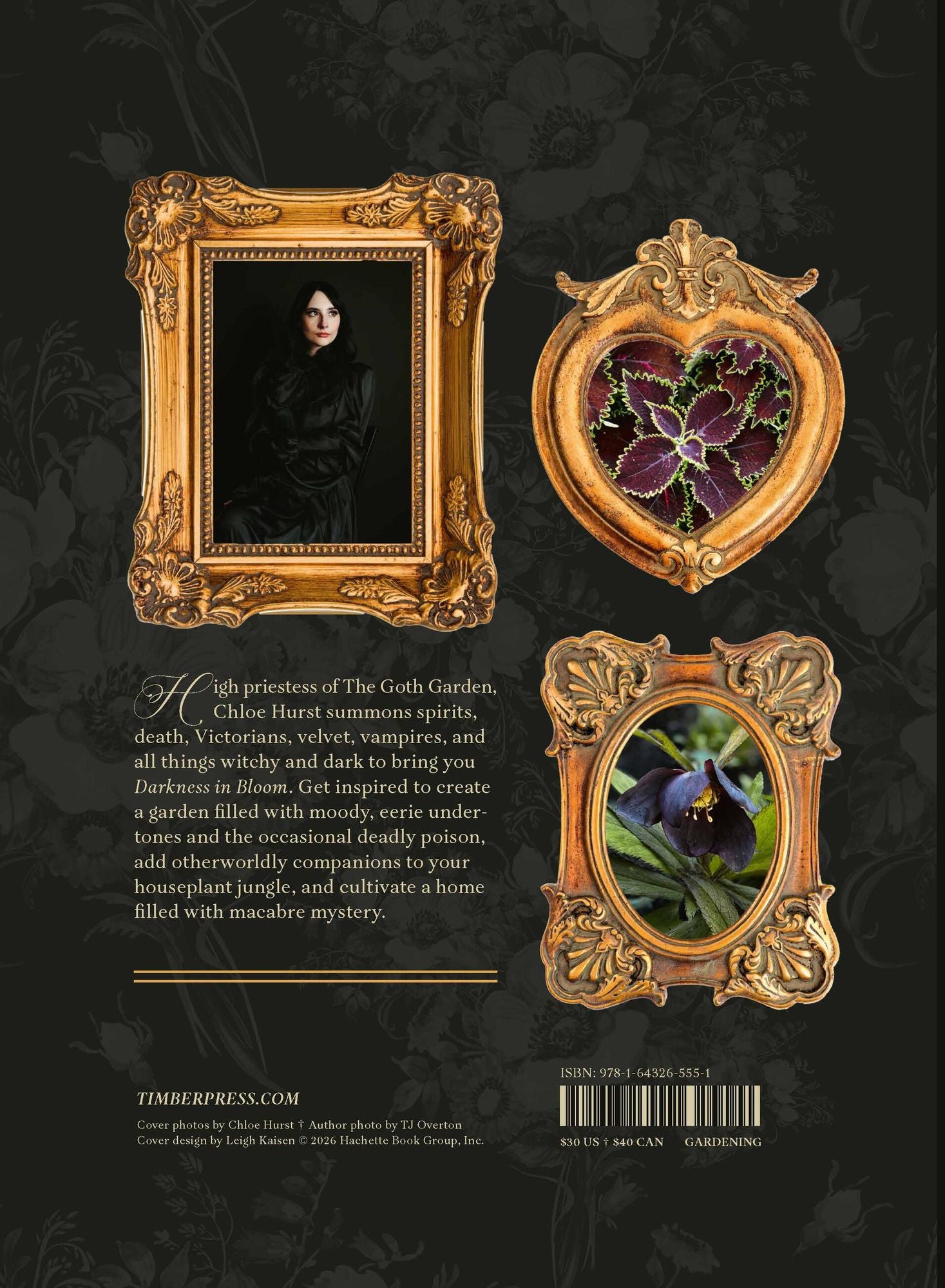 Darkness in Bloom: A Gothic Guide to Dramatic and Moody Plants