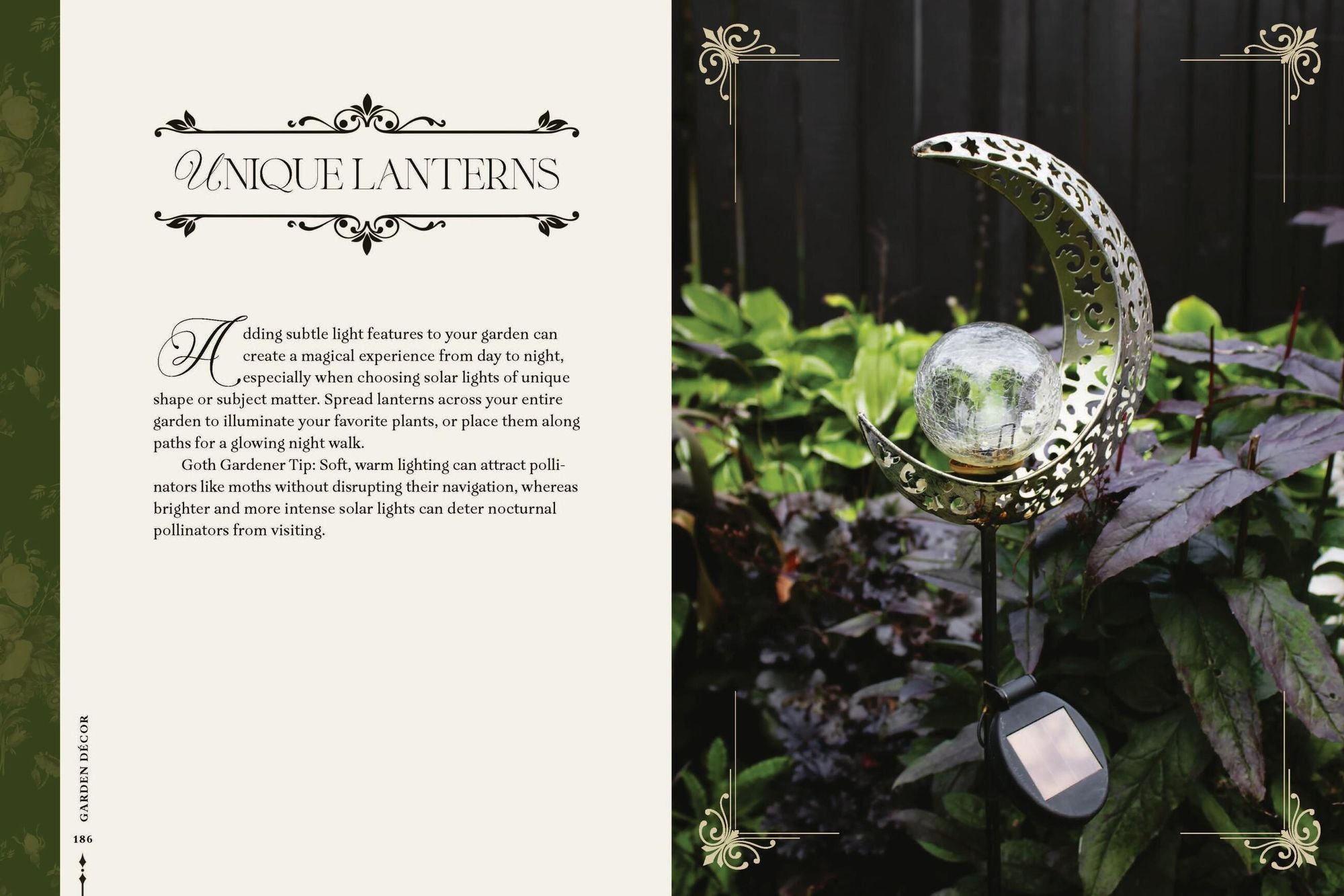 Darkness in Bloom: A Gothic Guide to Dramatic and Moody Plants