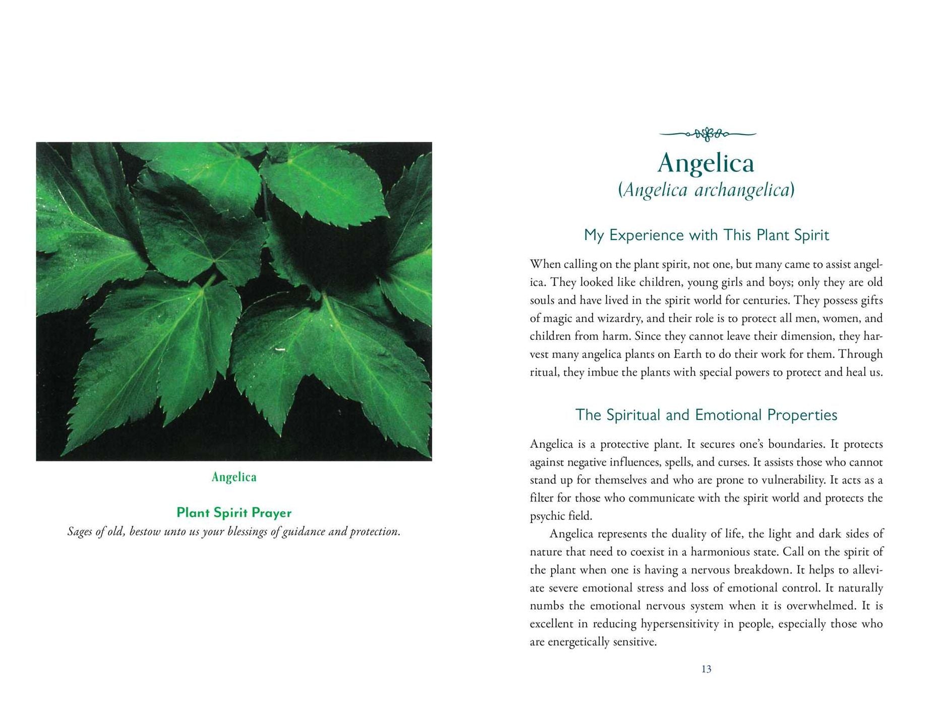 The Divine Nature of Plants: A Medical Intuitive's Guide to Plant Spirit Medicine