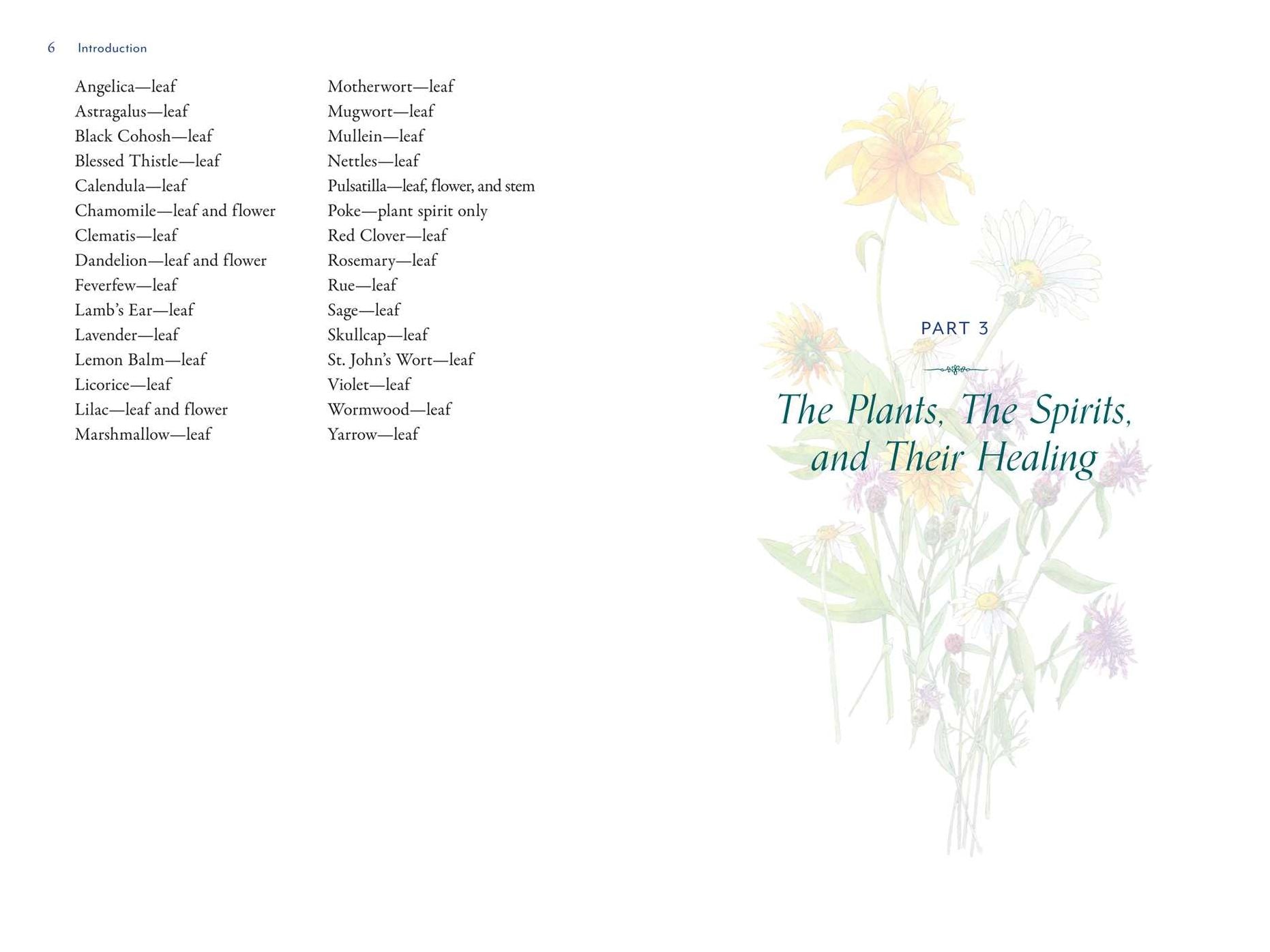 The Divine Nature of Plants: A Medical Intuitive's Guide to Plant Spirit Medicine