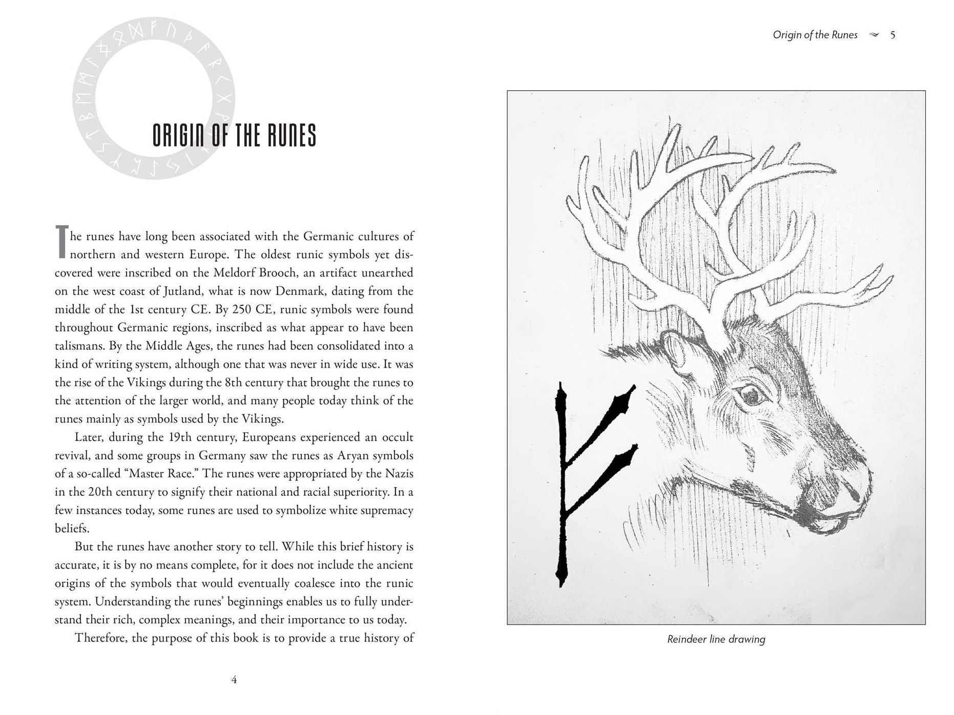 The Goddess Casts the Runes: Divination and Wisdom of the Earth Mother