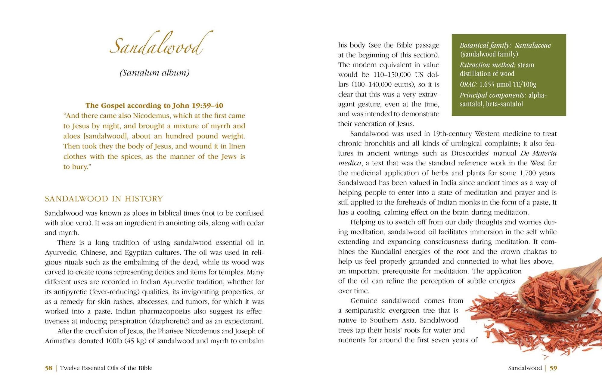 Twelve Essential Oils of the Bible: Ancient Healing Oils and Their Contemporary Uses