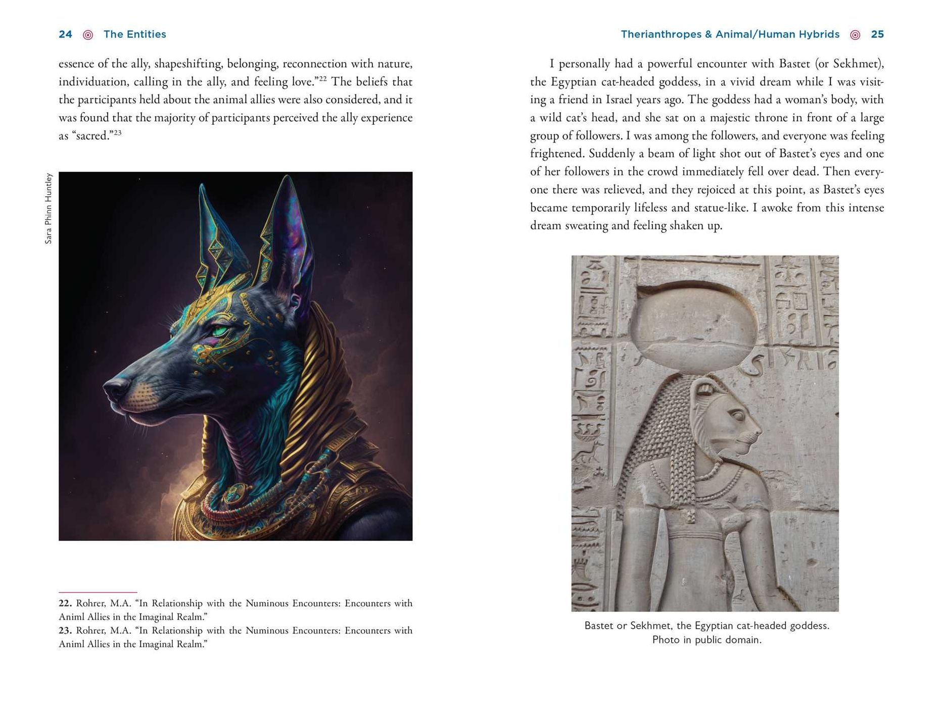 The Illustrated Field Guide to DMT Entities: Machine Elves, Tricksters, Teachers, and Other Interdimensional Beings