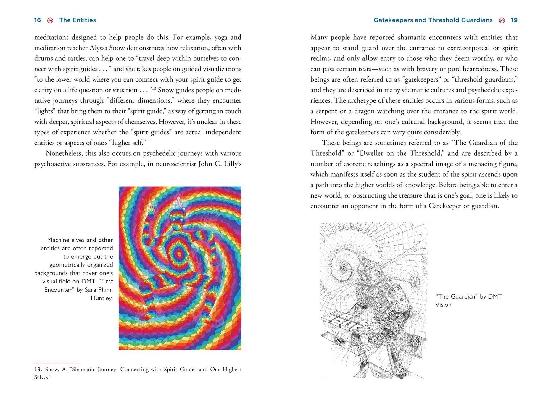 The Illustrated Field Guide to DMT Entities: Machine Elves, Tricksters, Teachers, and Other Interdimensional Beings