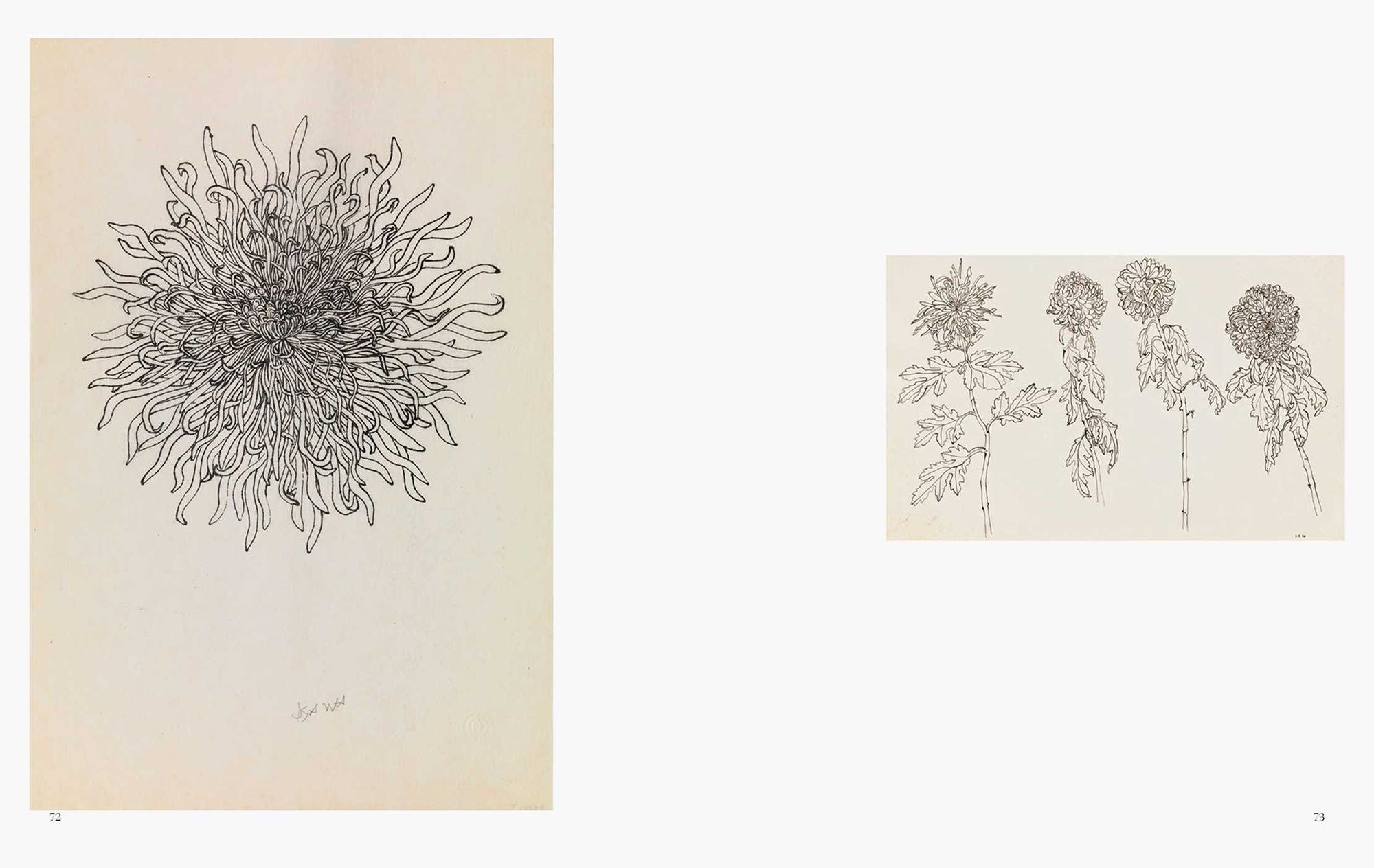 Ruth Asawa: All Is Possible