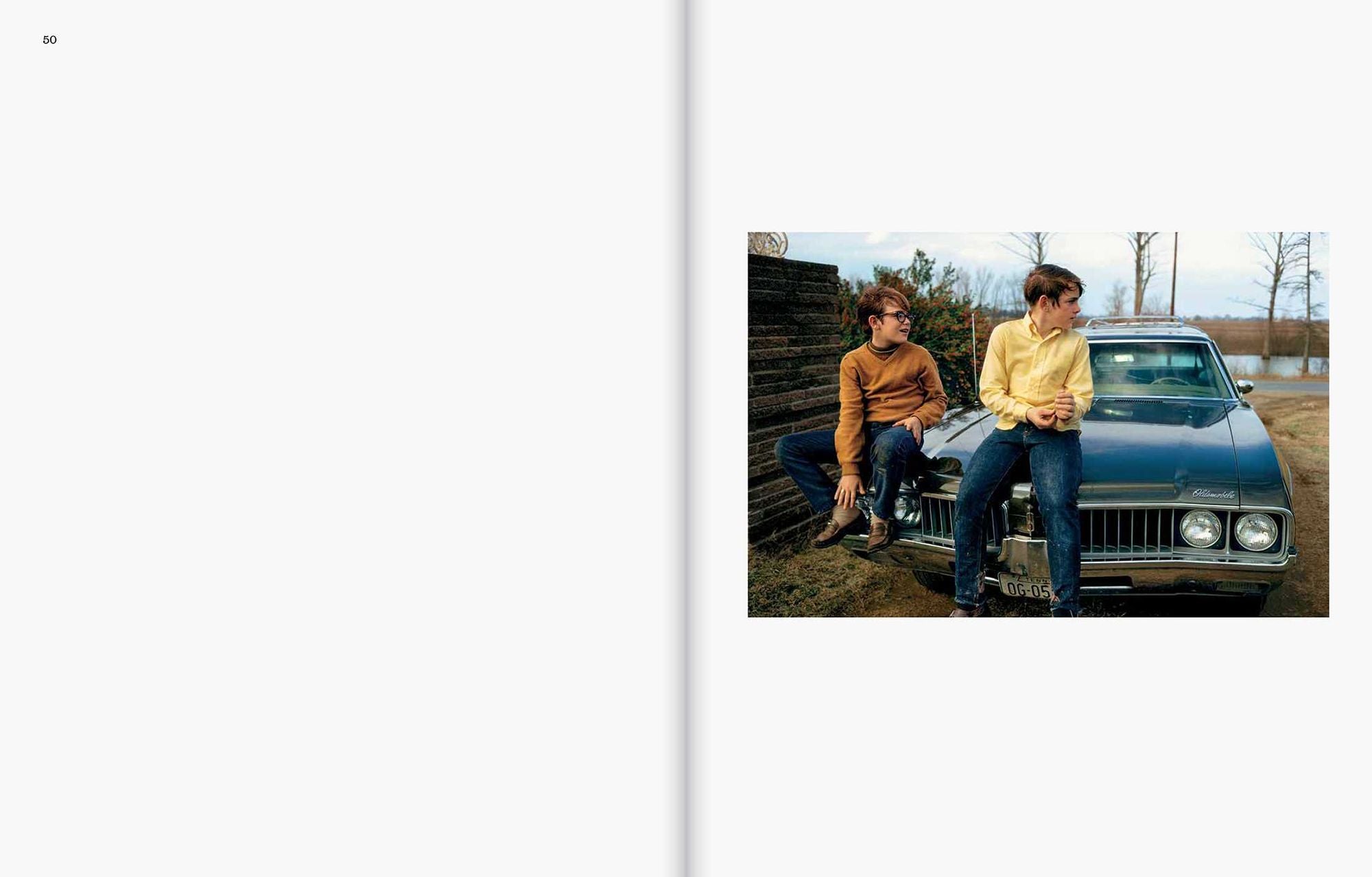 William Eggleston: The Last Dyes