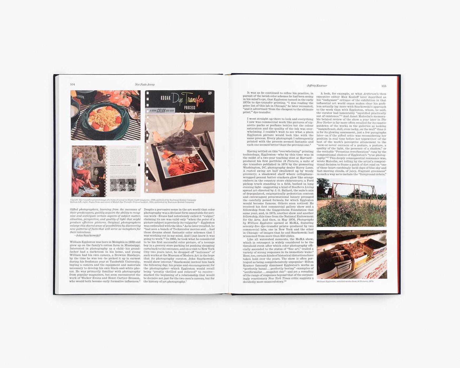 William Eggleston: The Last Dyes